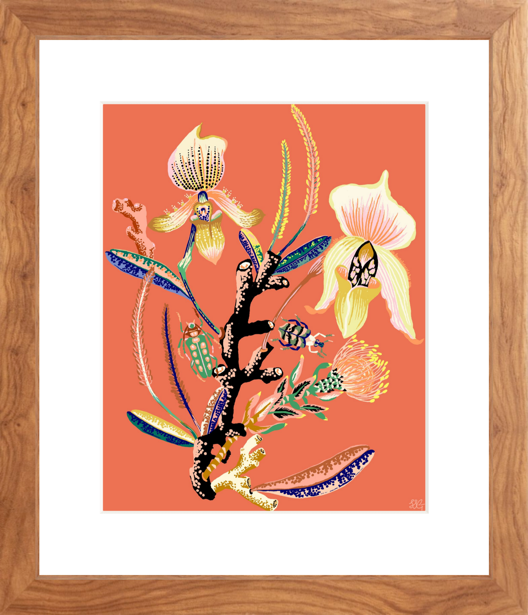 WONDERGARDEN ORCHID  8" x 10"
