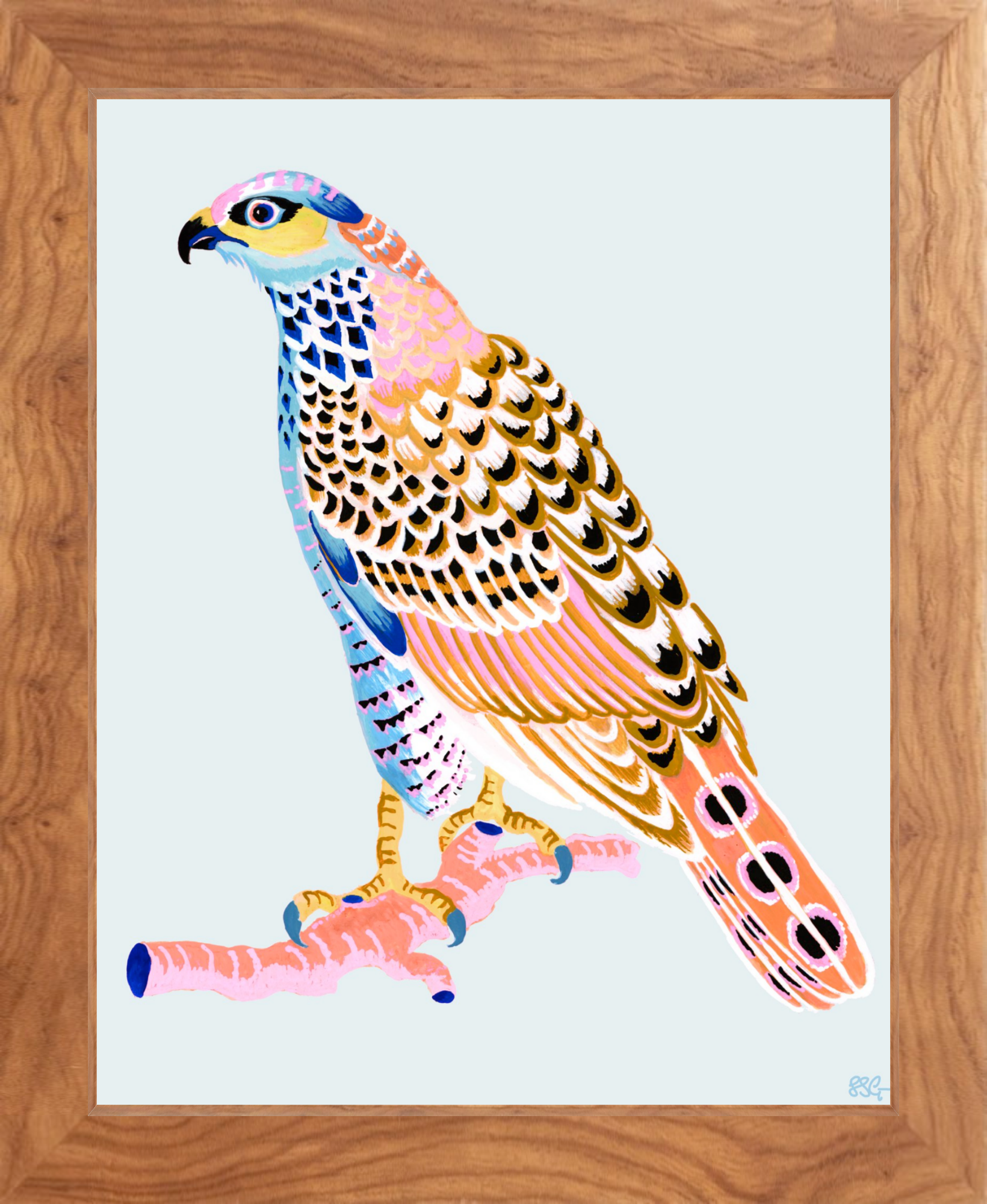 FANCY HAWK 8" x 10" in 2 color options