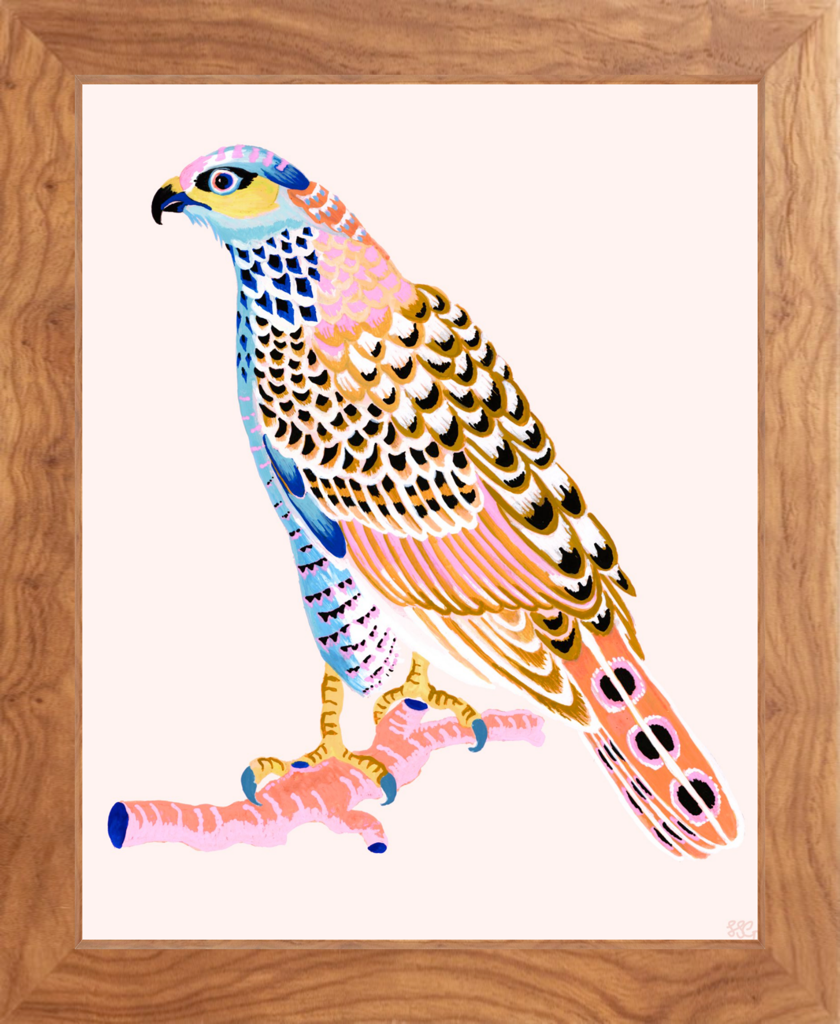FANCY HAWK 8" x 10" in 2 color options