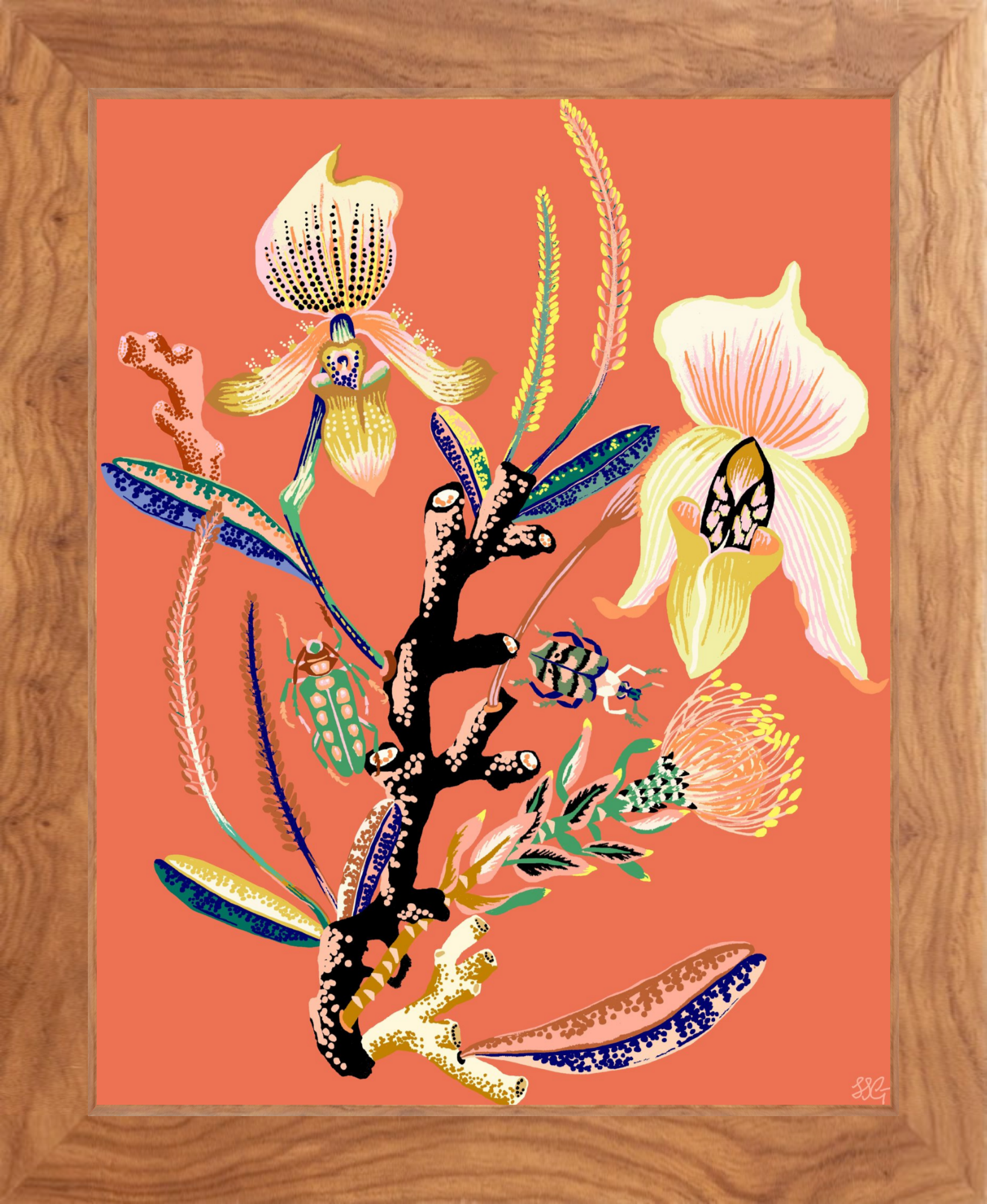 WONDERGARDEN ORCHID  8" x 10"