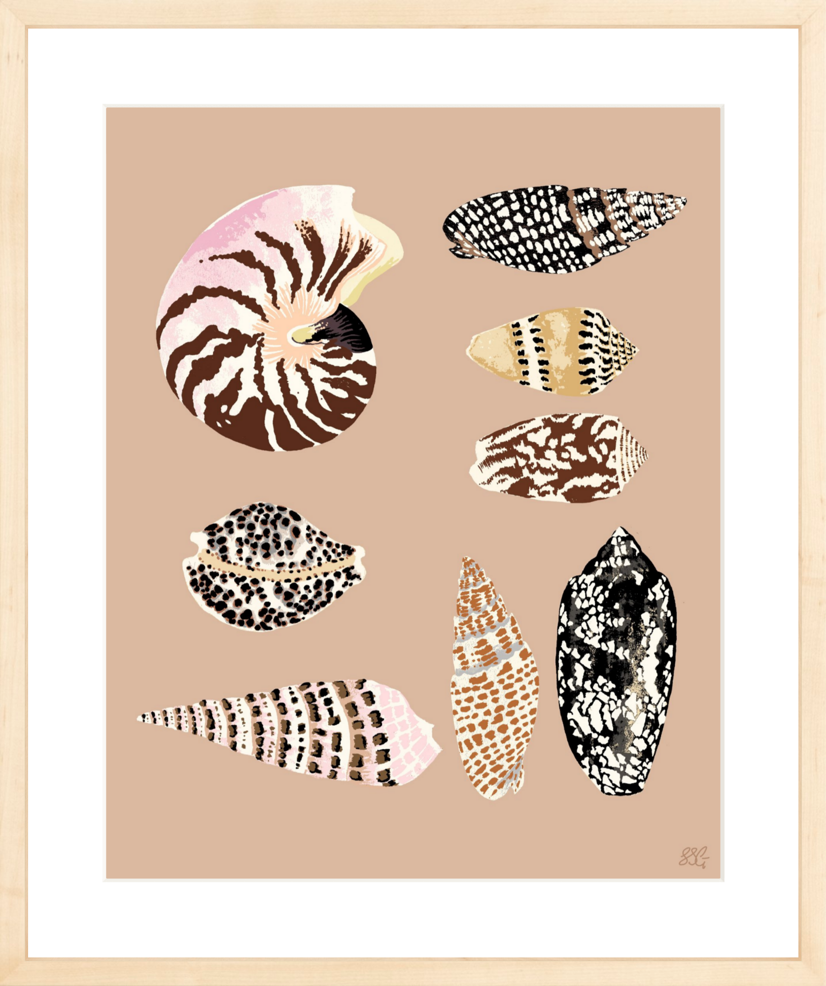 FIJI SHELLS 16" x 20" in 2 color options