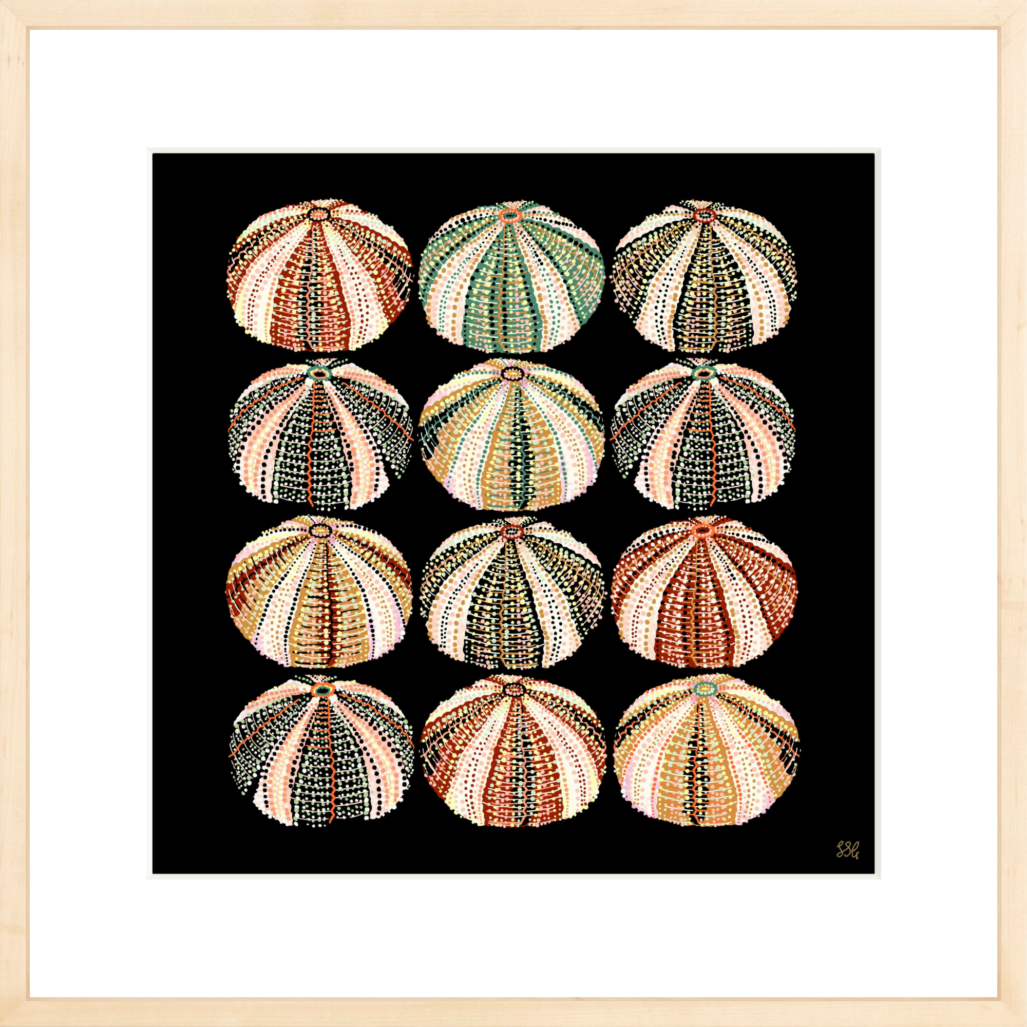 URCHIN 12 WAYS 18" X 18" in 2 color options