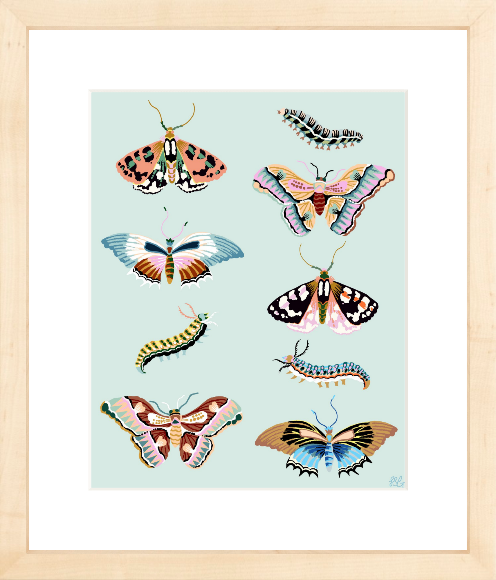 WONDERGARDEN BUTTERFLY  8" x 10"