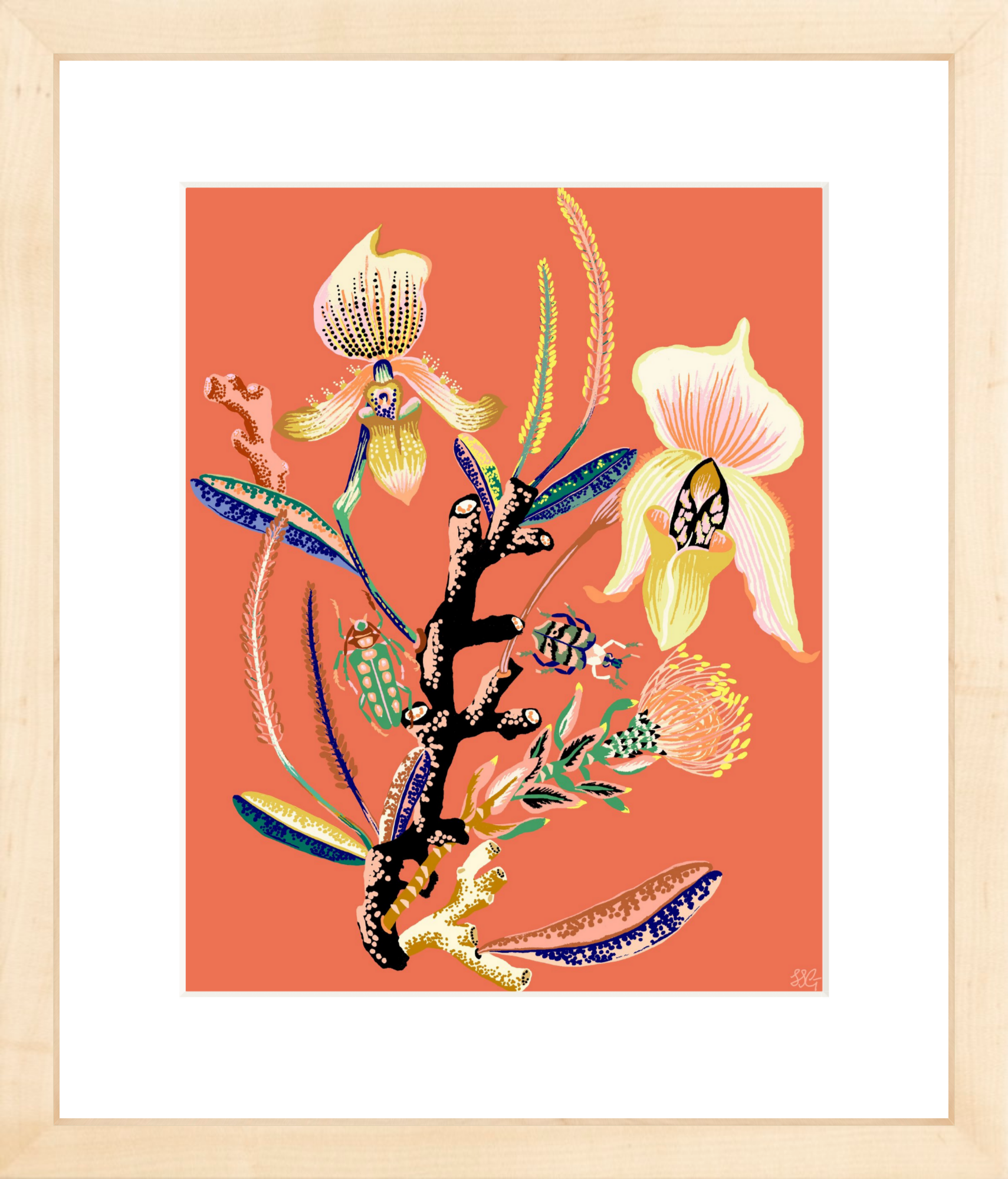 WONDERGARDEN ORCHID  8" x 10"