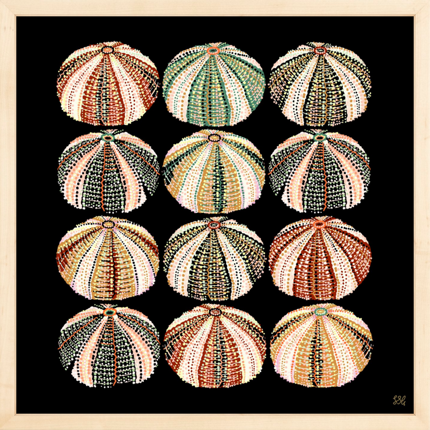 URCHIN 12 WAYS 18" X 18" in 2 color options