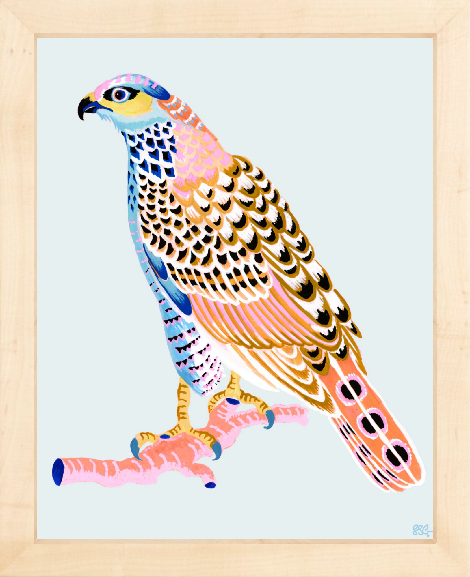 FANCY HAWK 8" x 10" in 2 color options