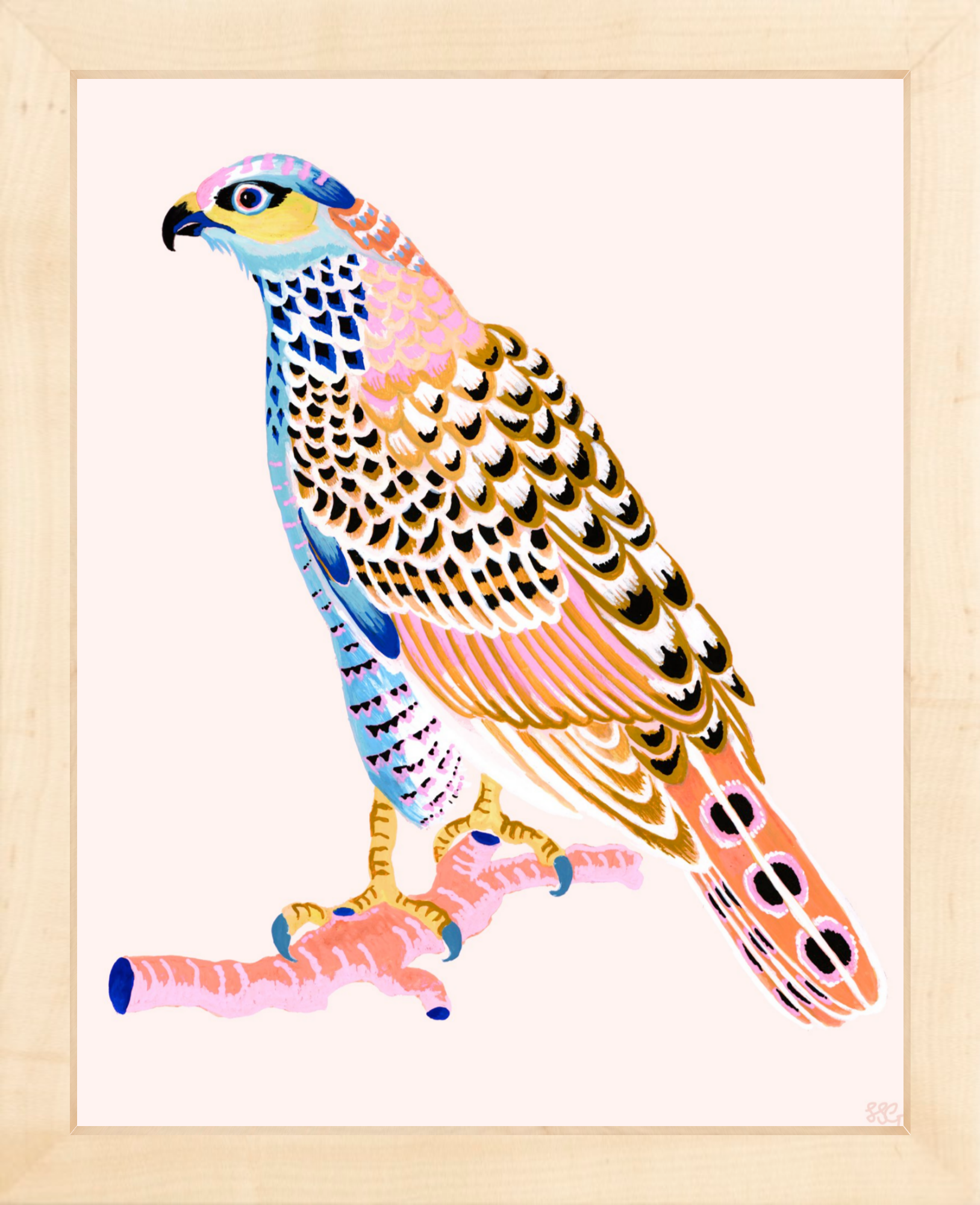 FANCY HAWK 8" x 10" in 2 color options