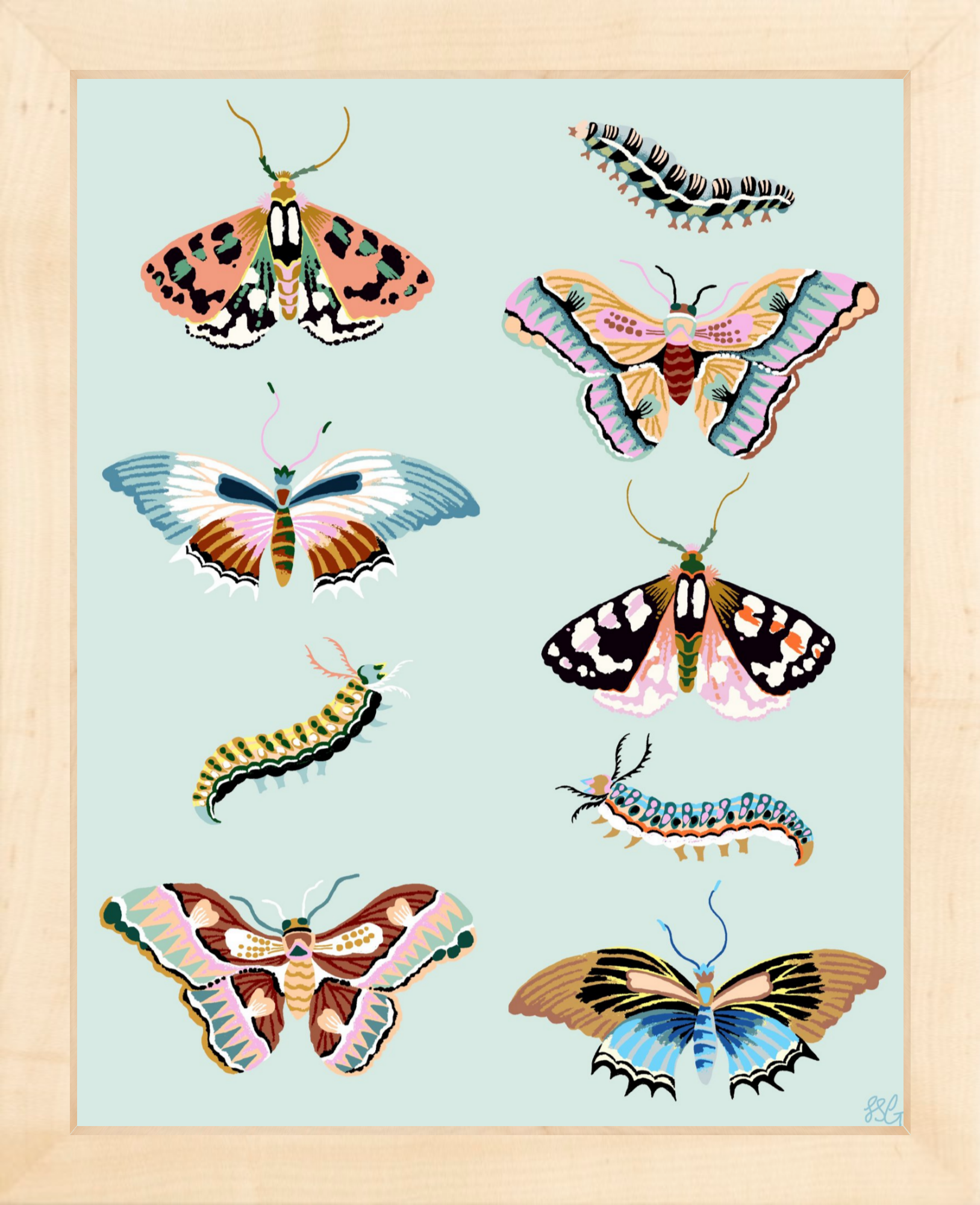 WONDERGARDEN BUTTERFLY  8" x 10"
