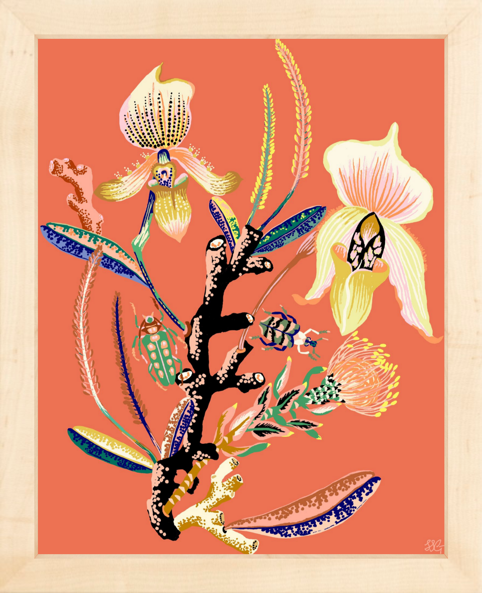 WONDERGARDEN ORCHID  8" x 10"