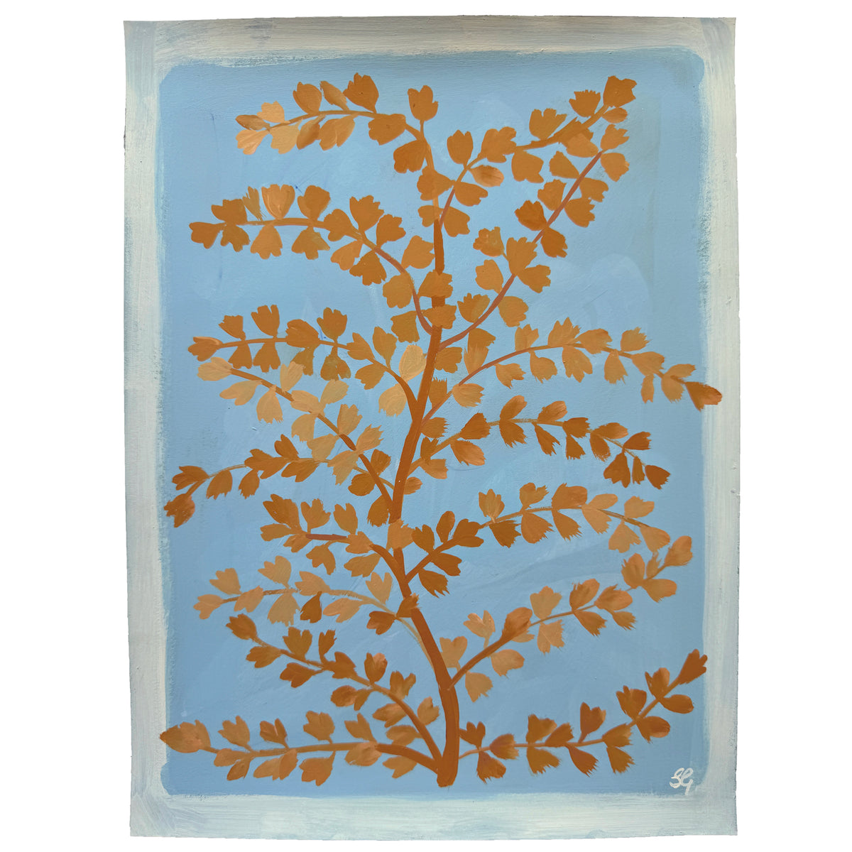 TERRACOTTA FERN STUDY on french blue 9"x12"