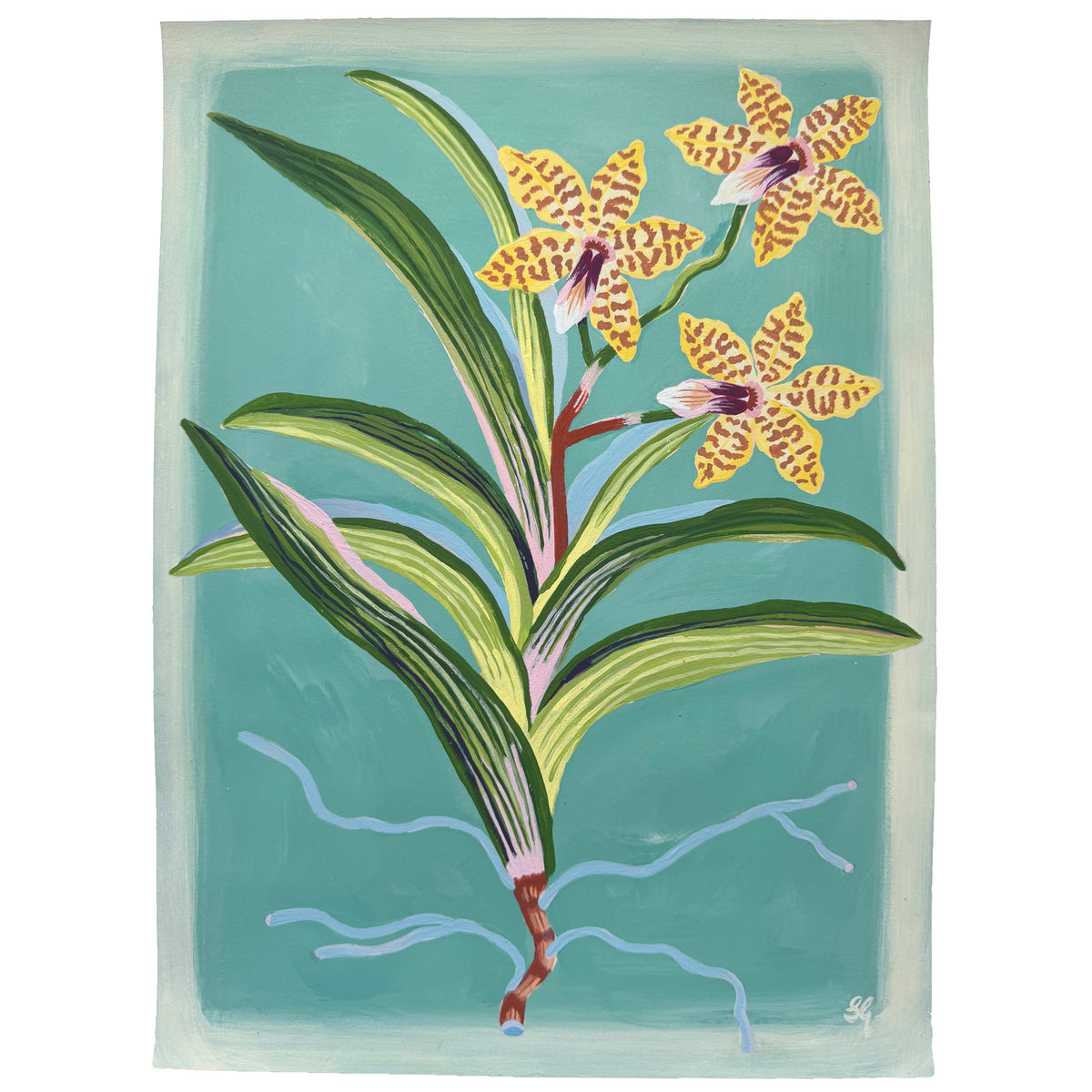 TIGER ORCHID on blue green 9"x12"