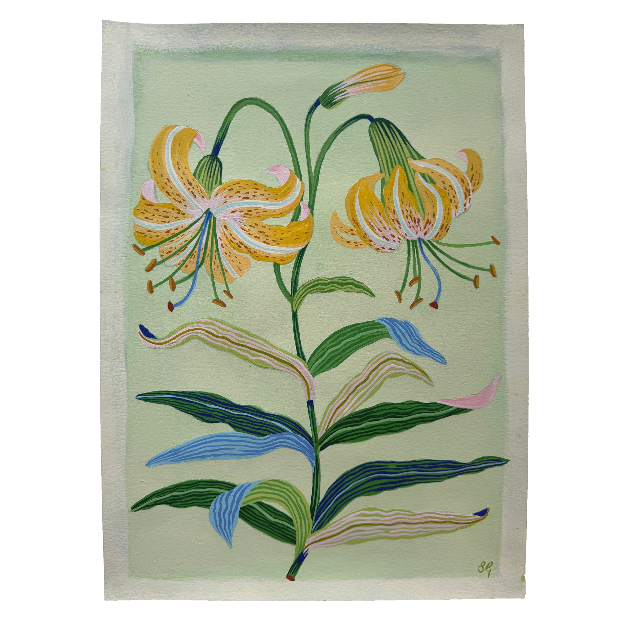 TIGER LILY no.2 11"x15"