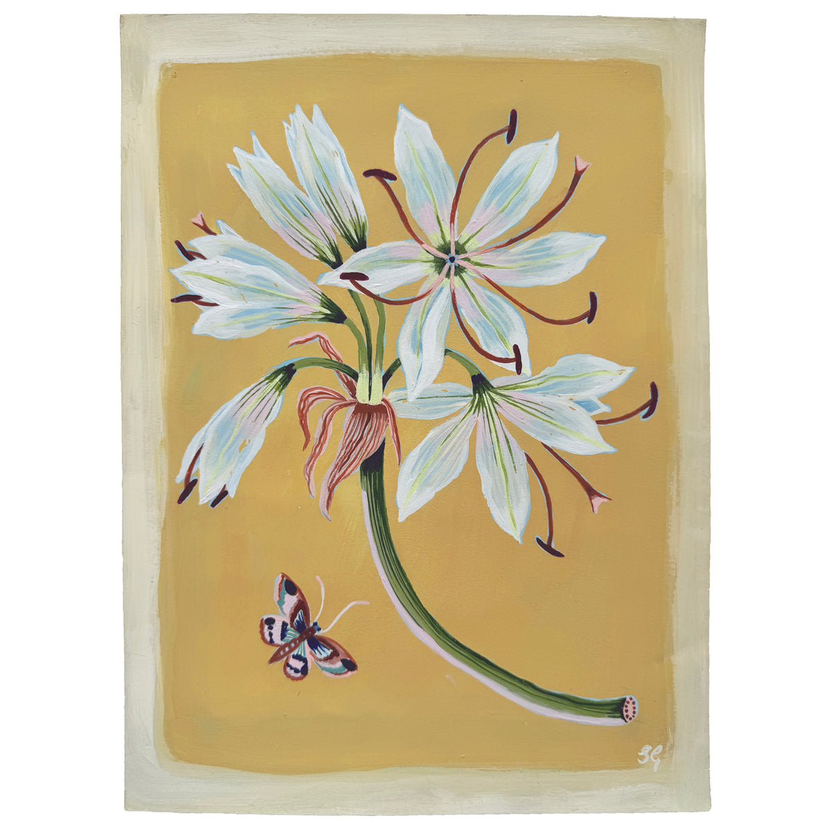 AMARYLLIS on Naples yellow 9"x12"