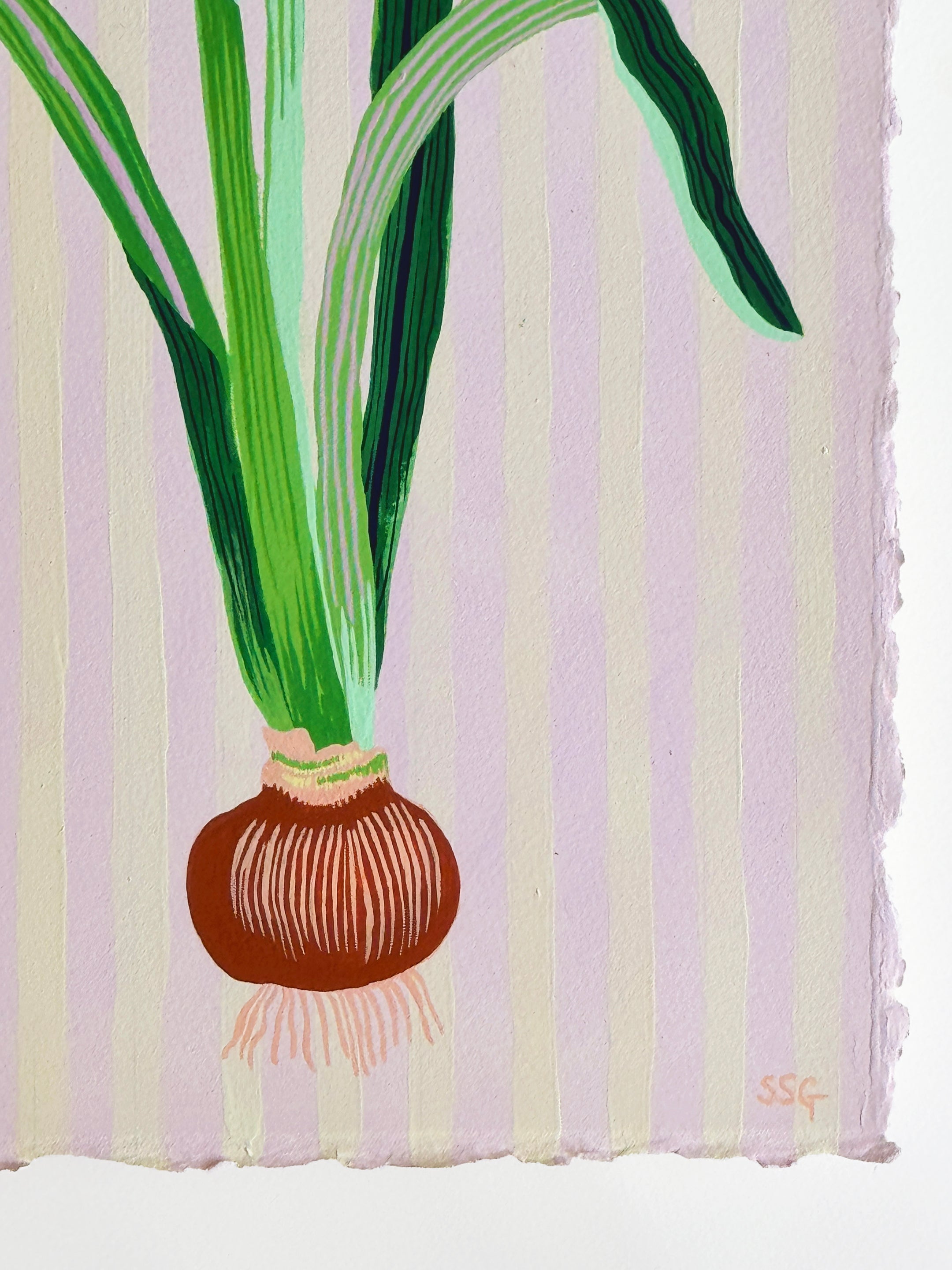 AMARYLLIS 9.5" x 20.4"