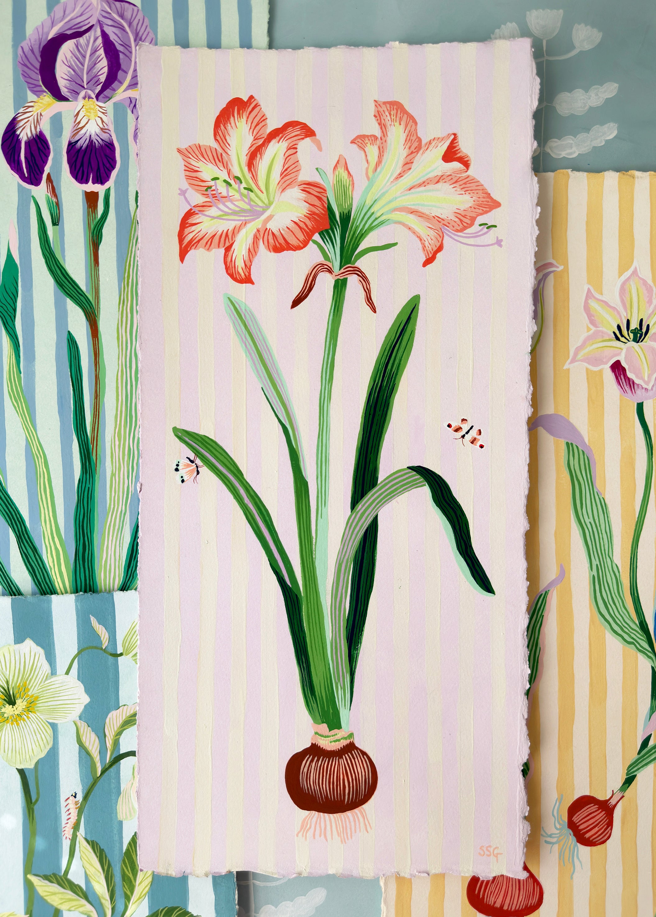 AMARYLLIS 9.5" x 20.4"