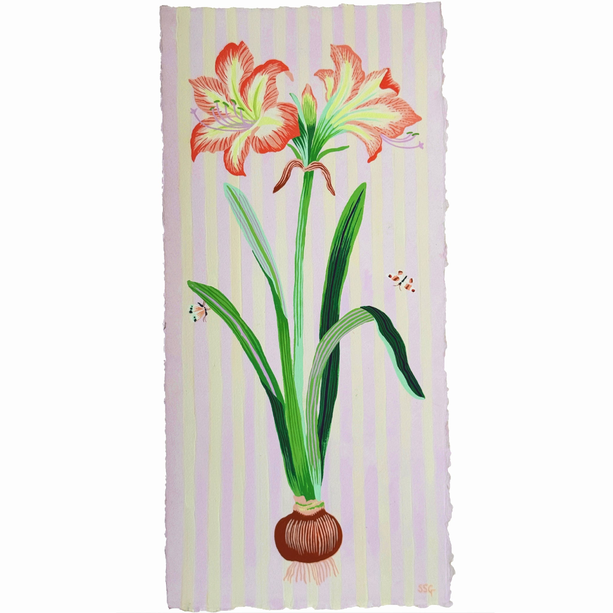 AMARYLLIS 9.5" x 20.4"