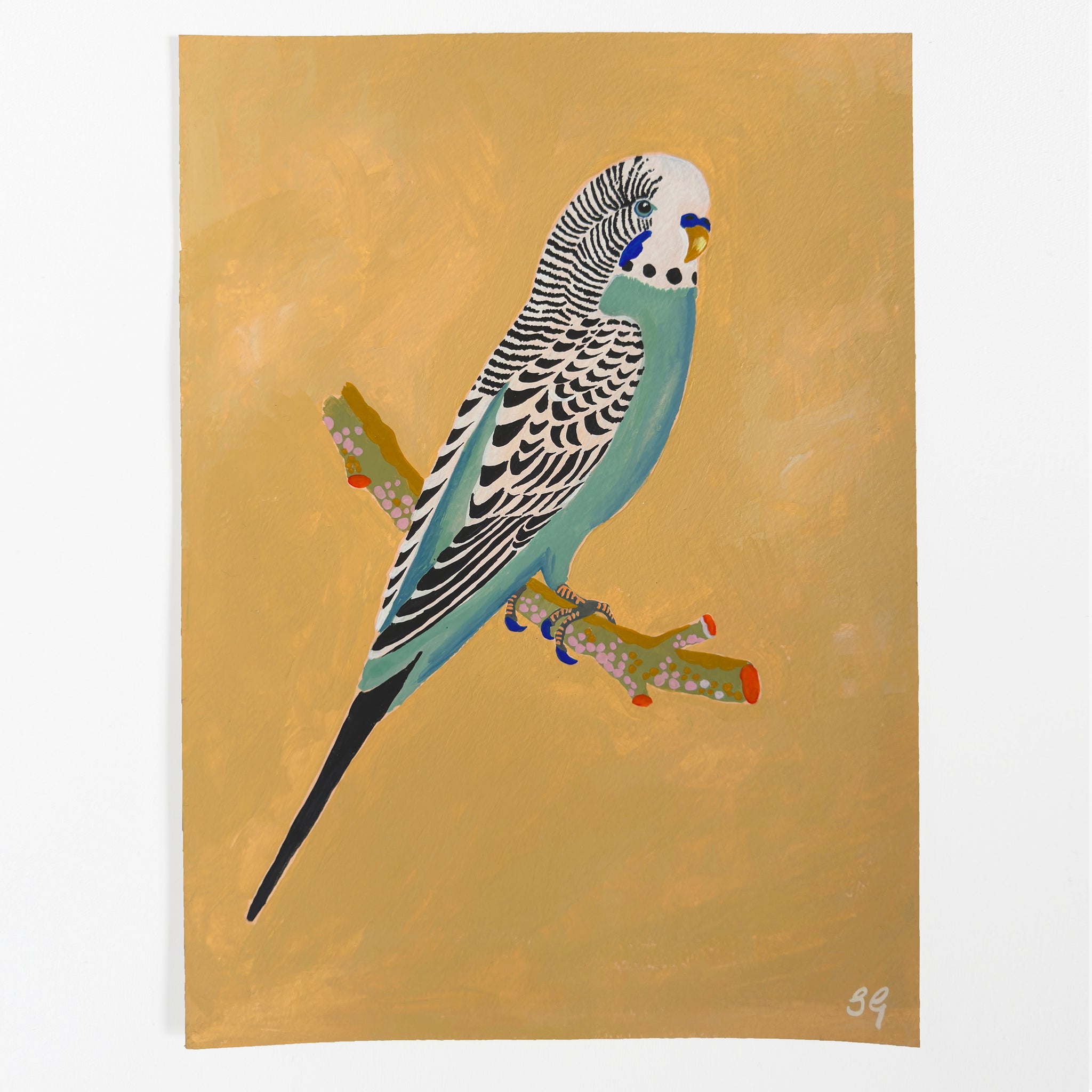 BUDGERIGAR on yellow ochre 8" x 11"