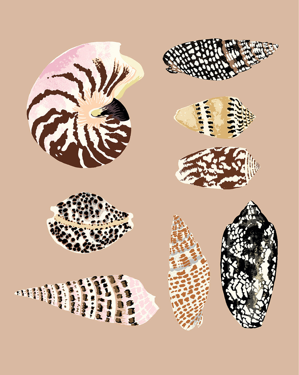 FIJI SHELLS 16" x 20" in 2 color options