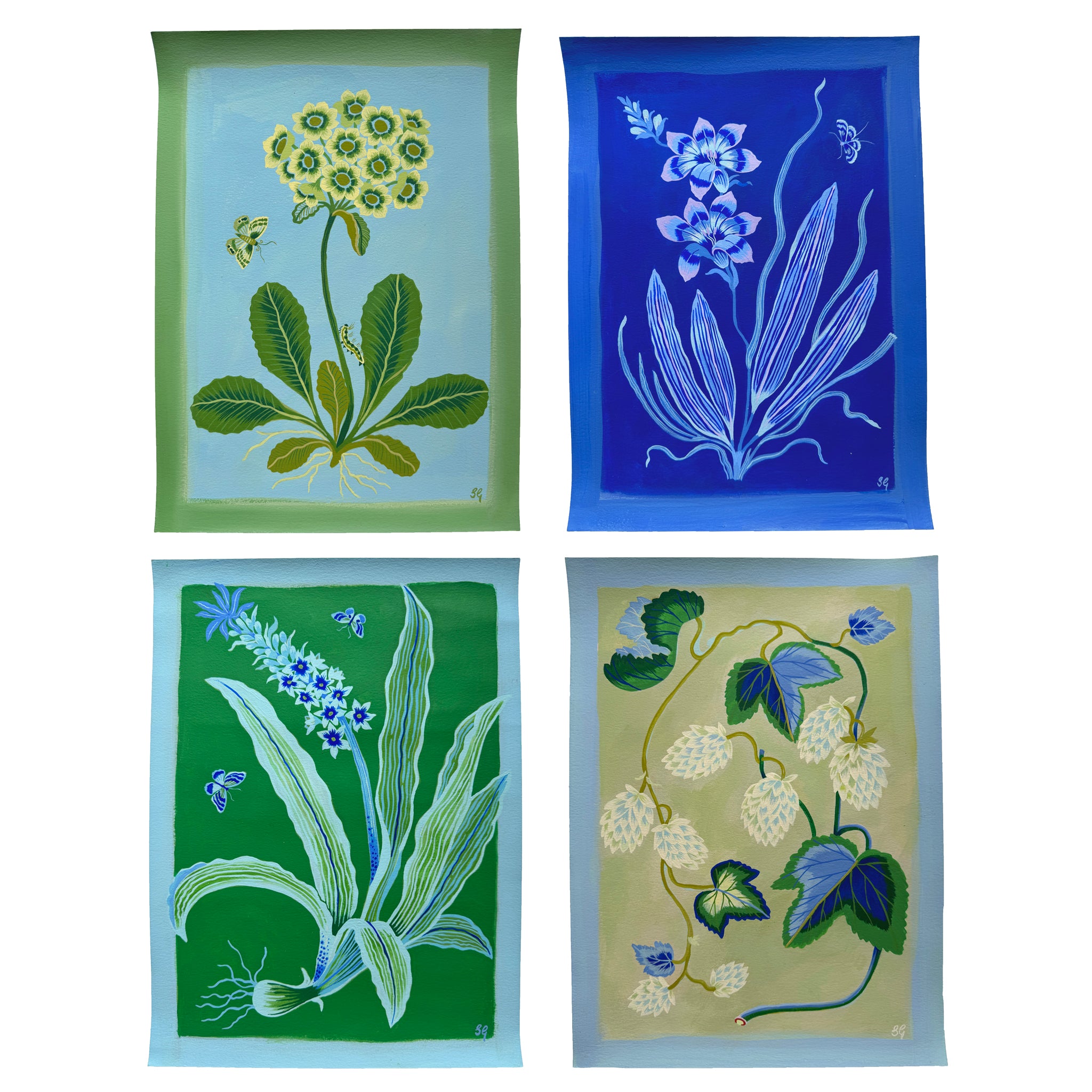 BLUE FREESIA in ultramarine 11"x15"