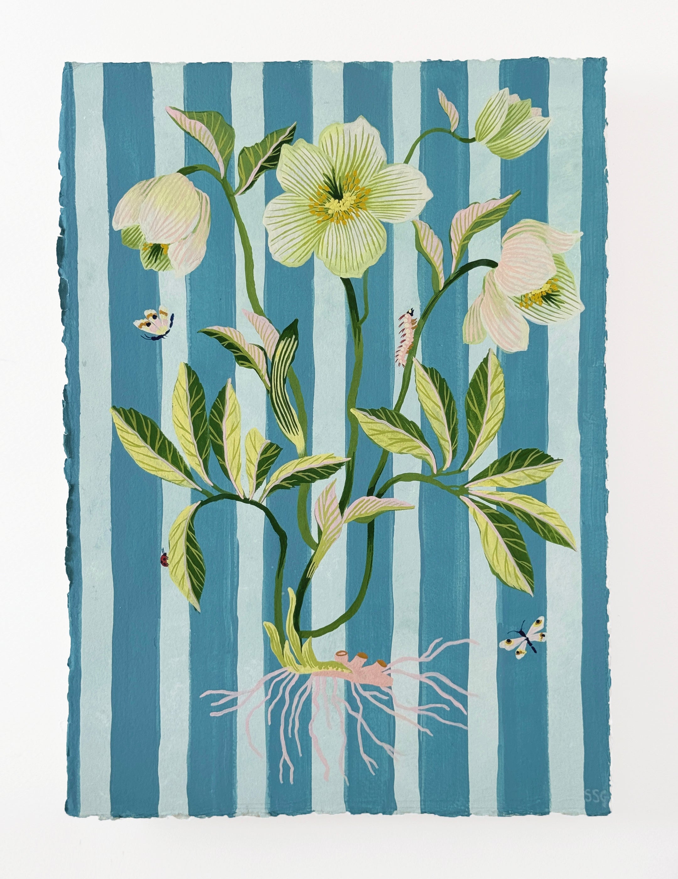 HELLEBORE STRIPES 11" x 15.2"