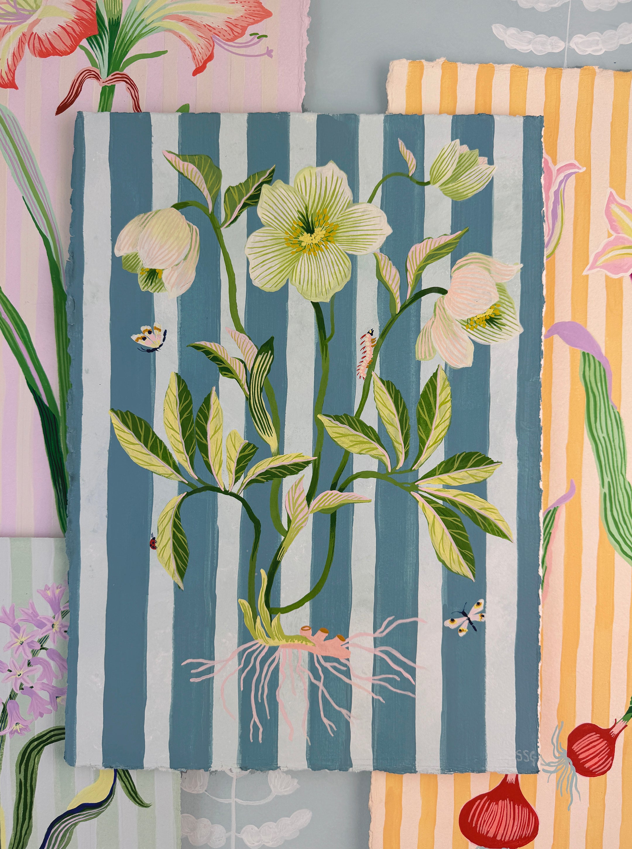 HELLEBORE STRIPES 11" x 15.2"