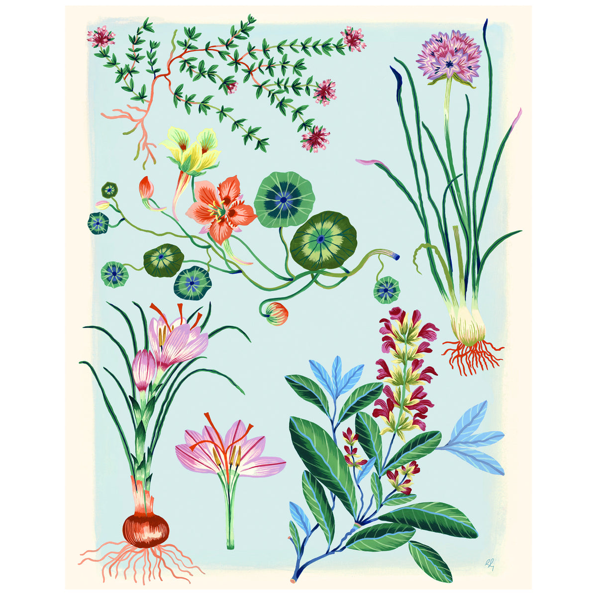 HERBARIUM Special Edition Giclee Print 18"x24"