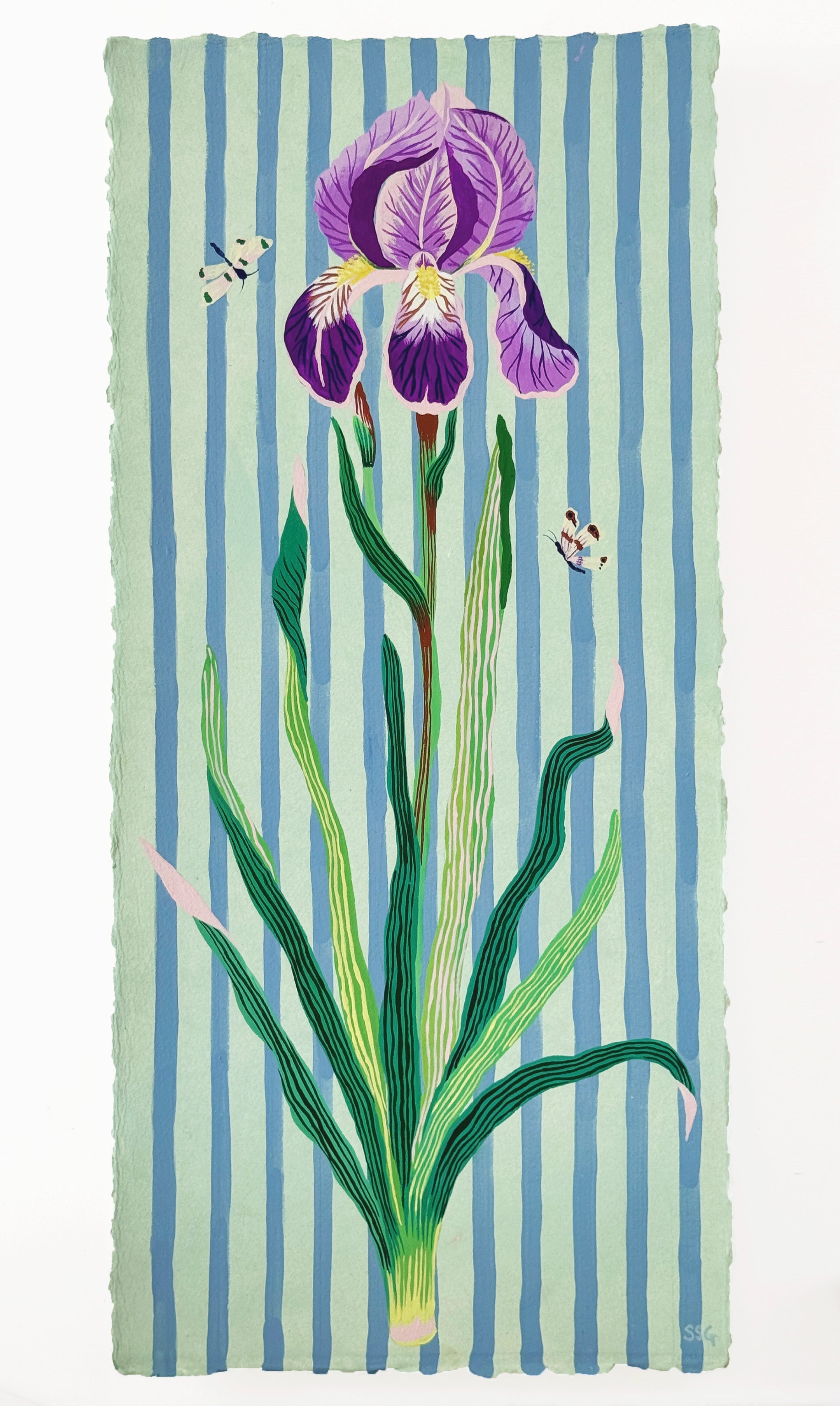 IRIS 9.5" x 20.5"