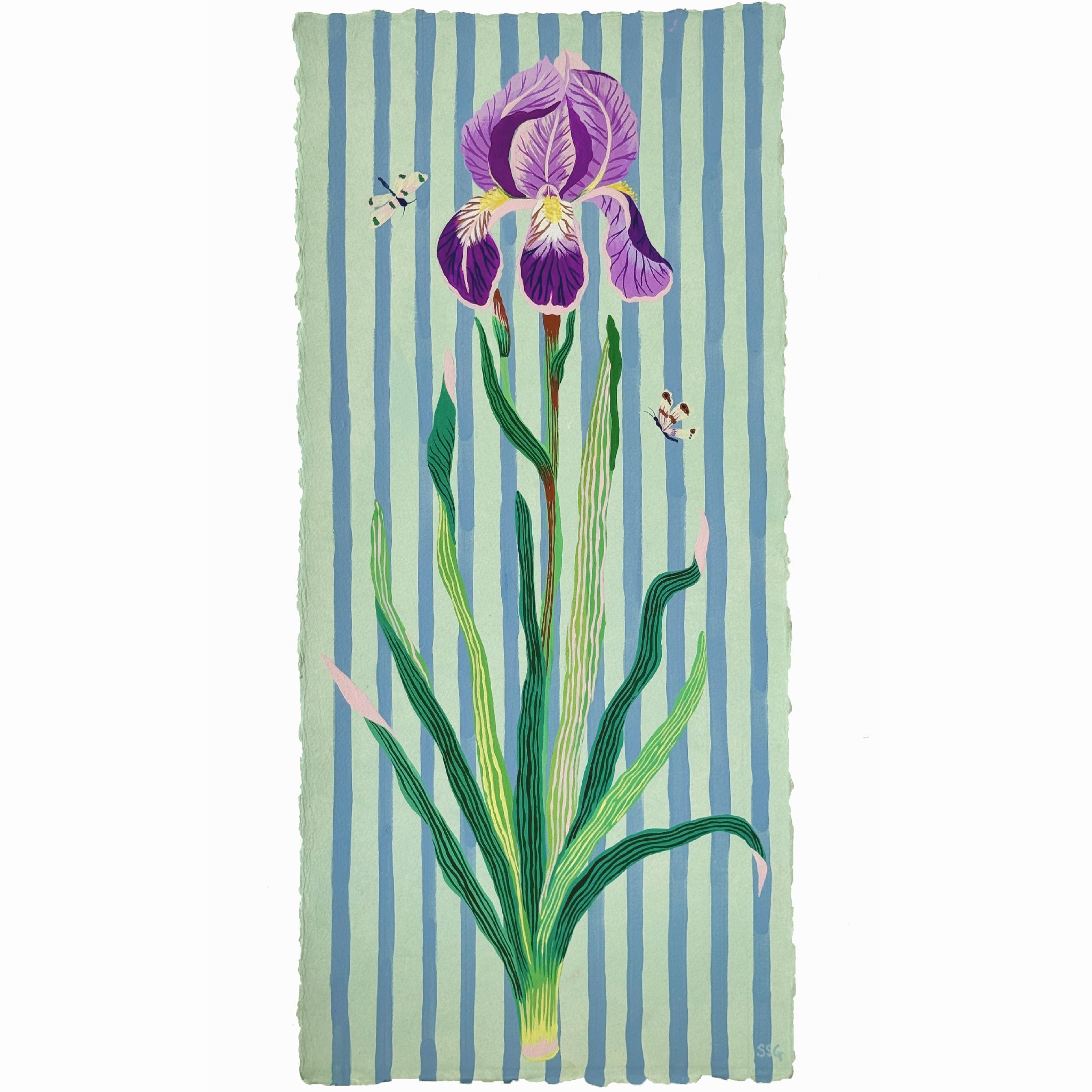 IRIS 9.5" x 20.5"