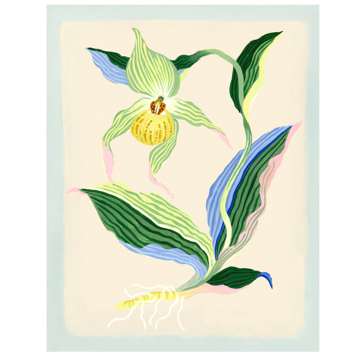 LADY SLIPPER ORCHID Limited Edition Print of 25