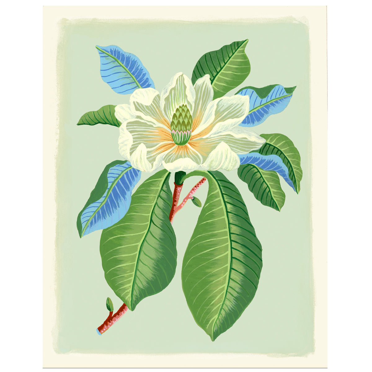 MAGNOLIA Special Edition Giclee Print 11"x14"