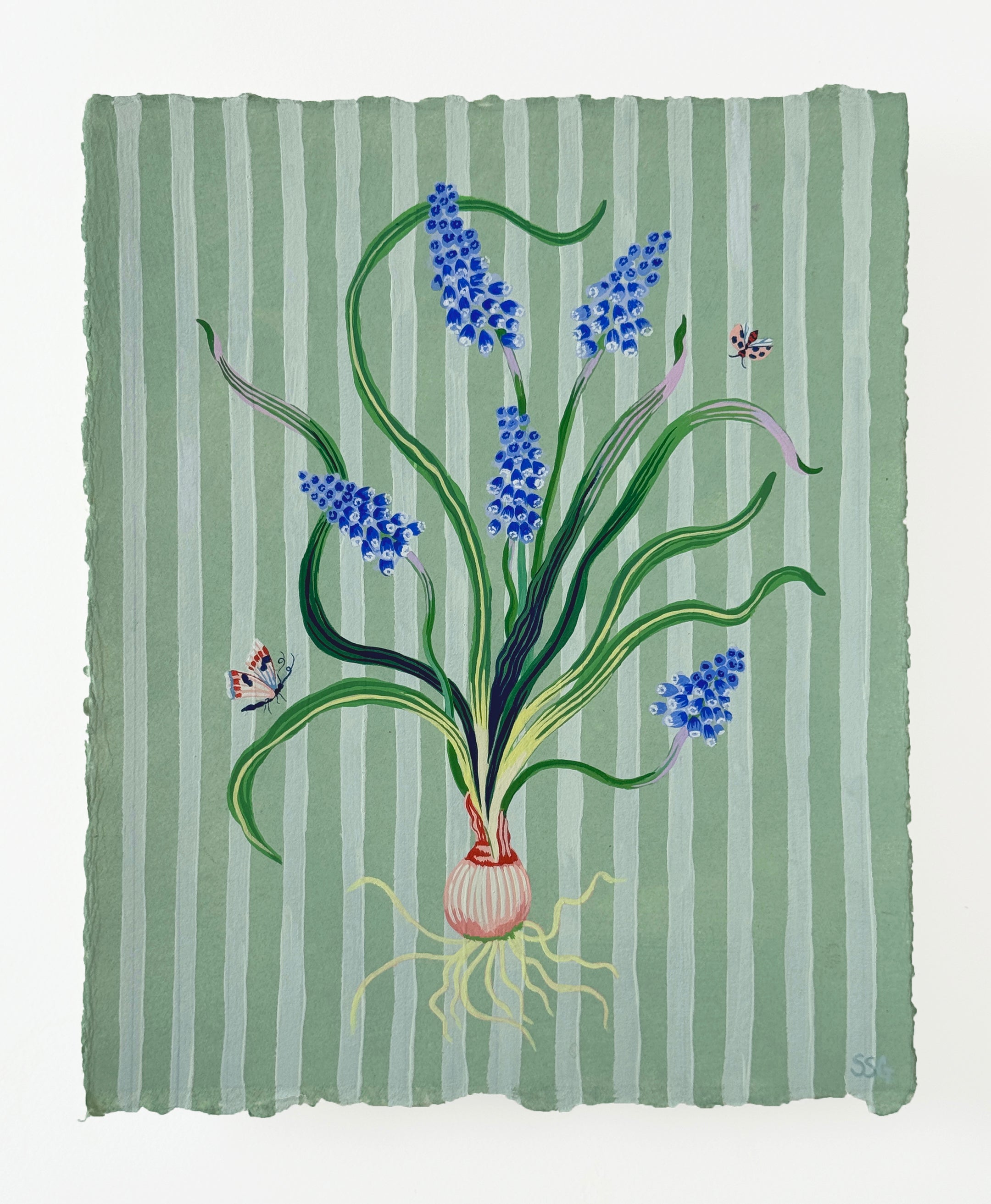 MUSCARI STRIPES 9.4" x 11.5"