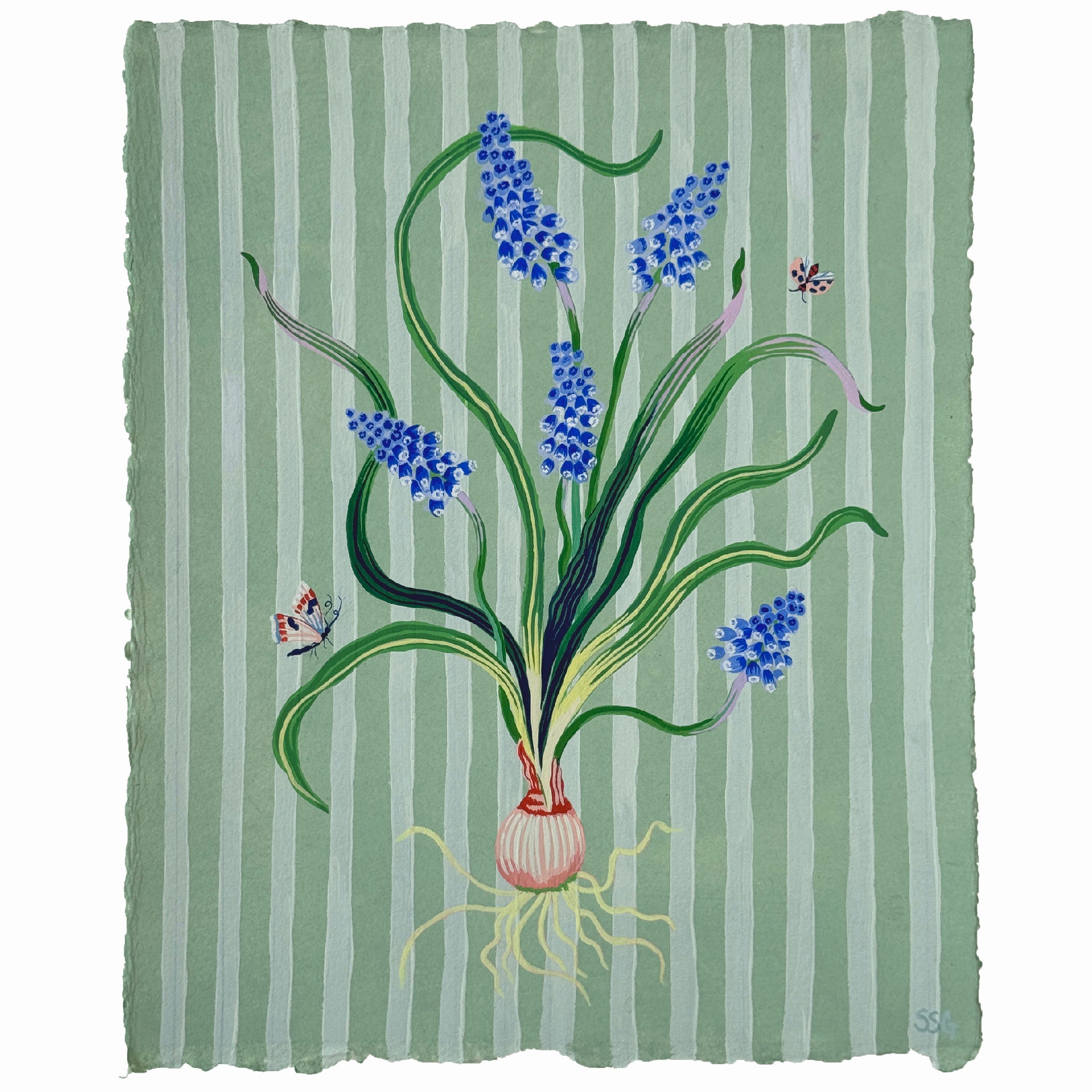 MUSCARI STRIPES 9.4" x 11.5"