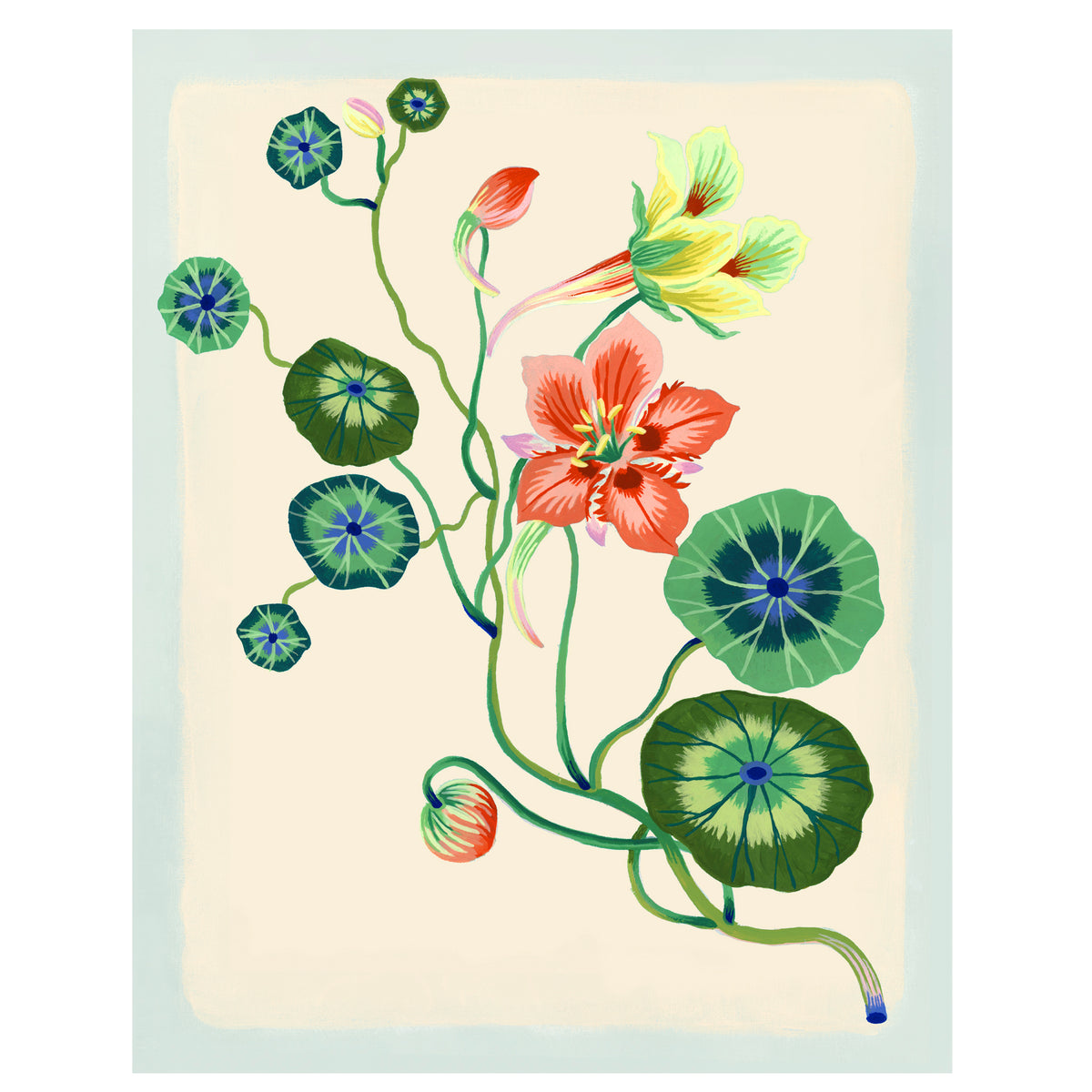 NASTURTIUM Special Edition Giclee Print 11"x14"