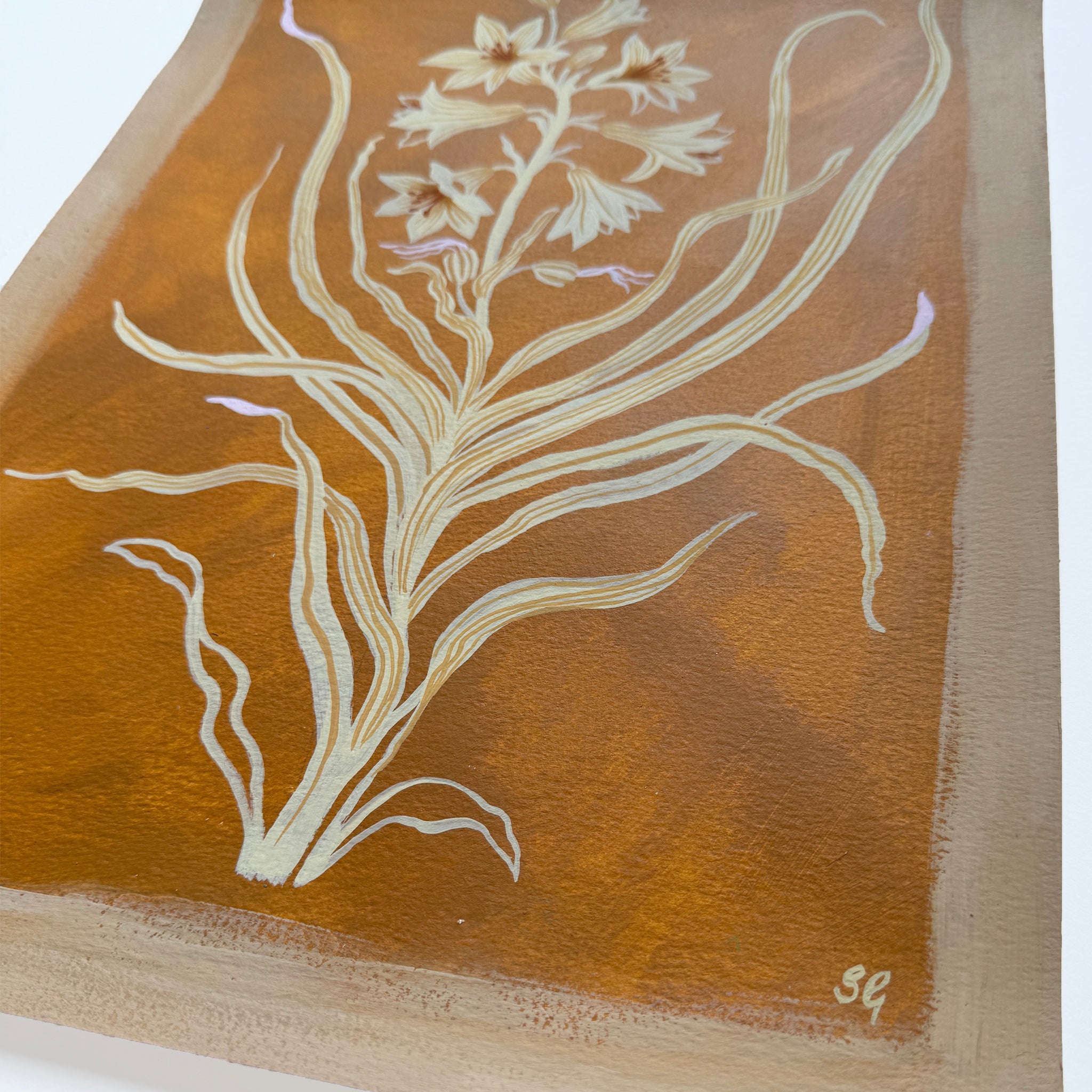 PARADISE LILY in raw sienna 11"x15"