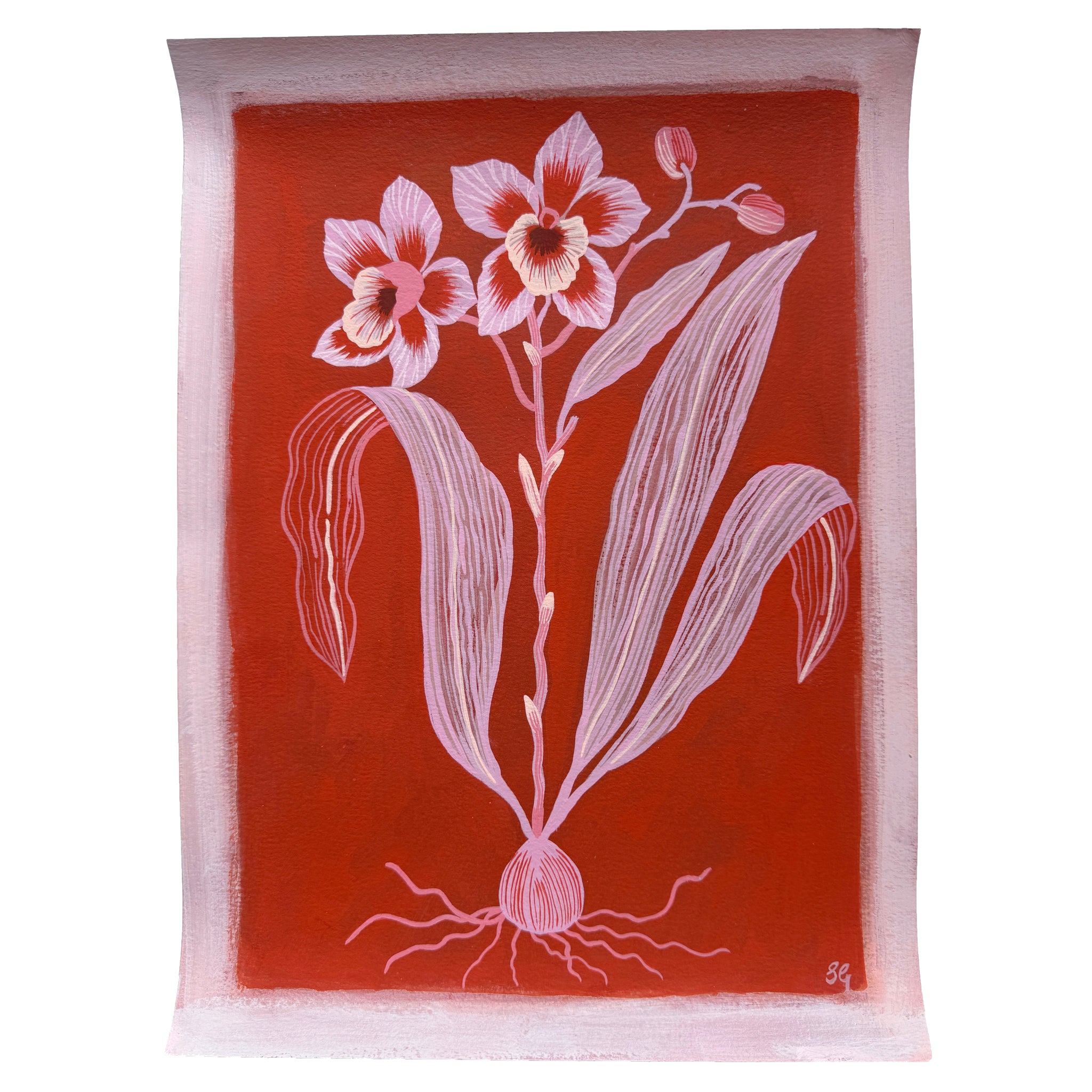 ORCHID in pink & red 11"x15"