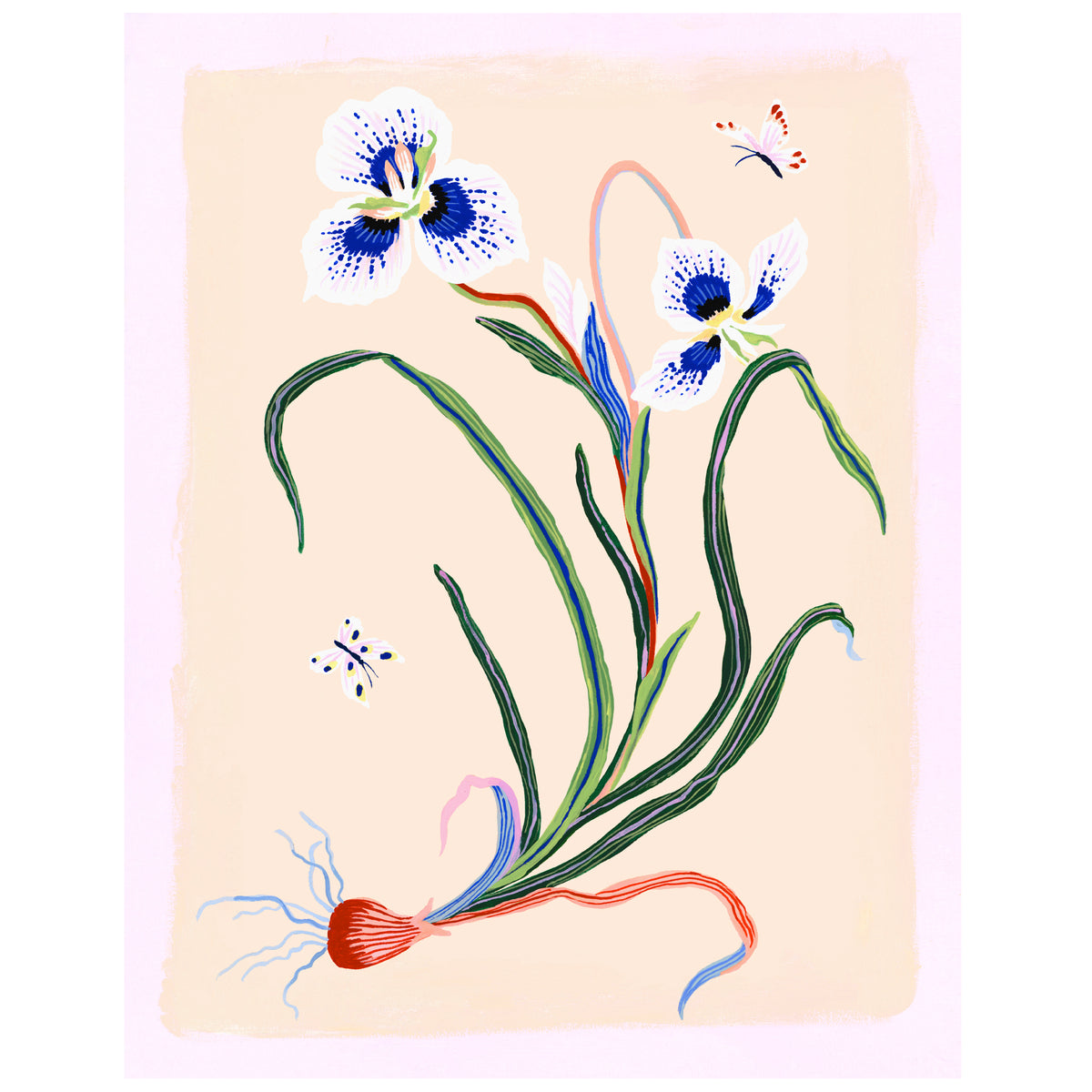 PEACOCK IRIS Special Edition Giclee Print 11"x14"