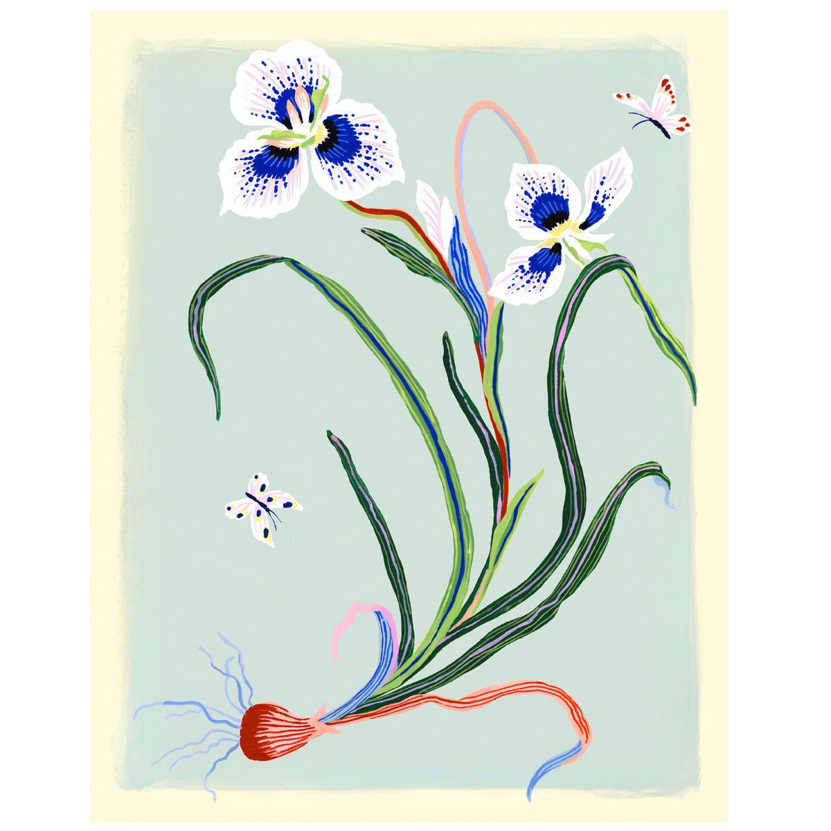 PEACOCK IRIS Special Edition Giclee Print 11"x14"