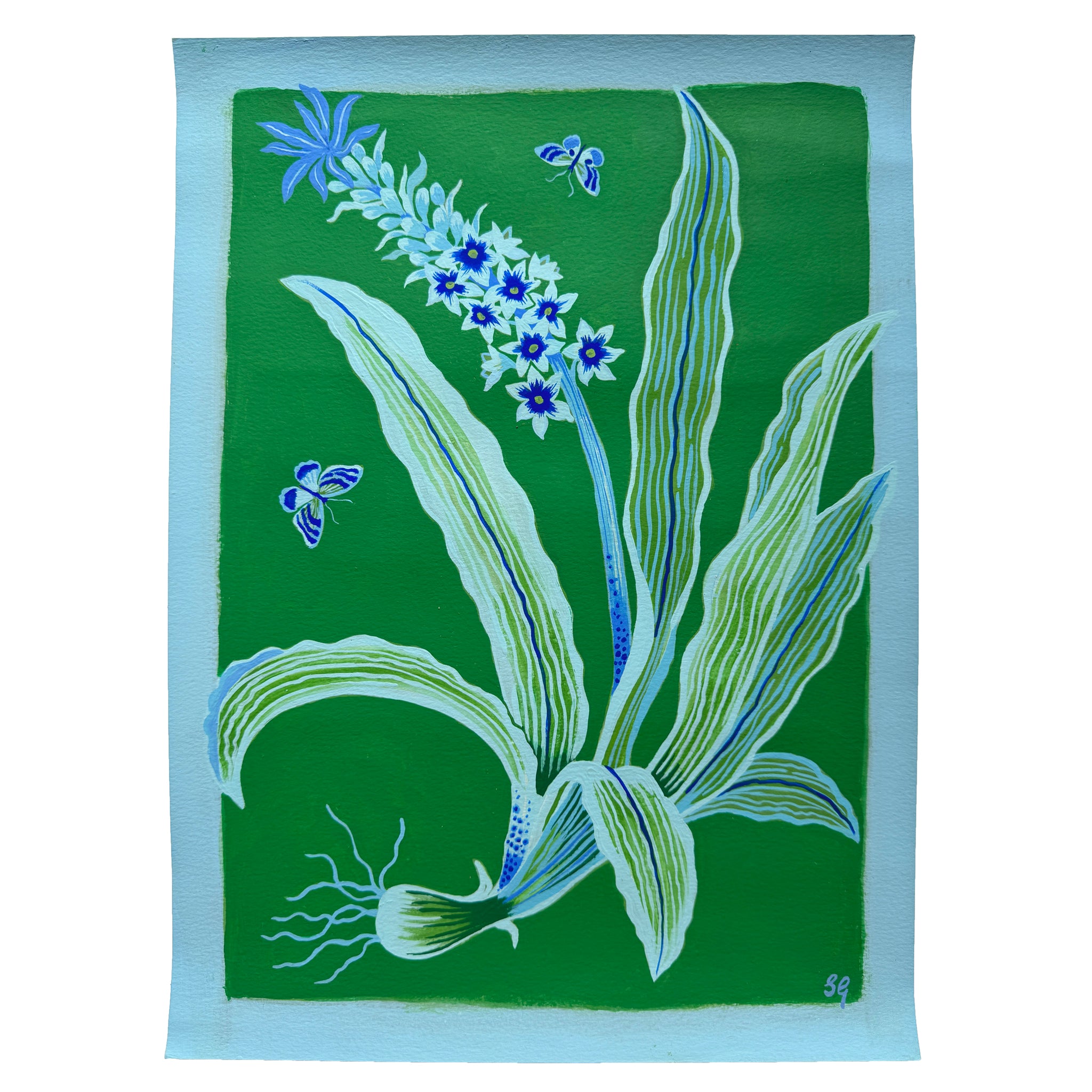 PINEAPPLE LILY in tonal greens 11"x15"