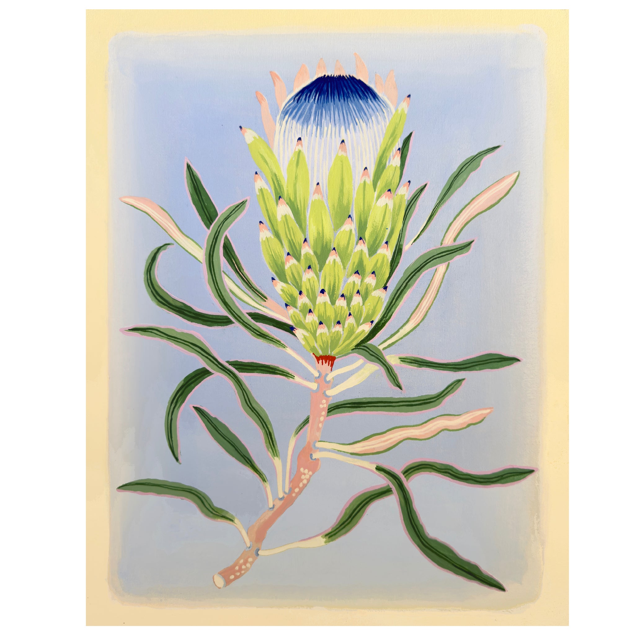 PROTEA 11" x 14" on canvas