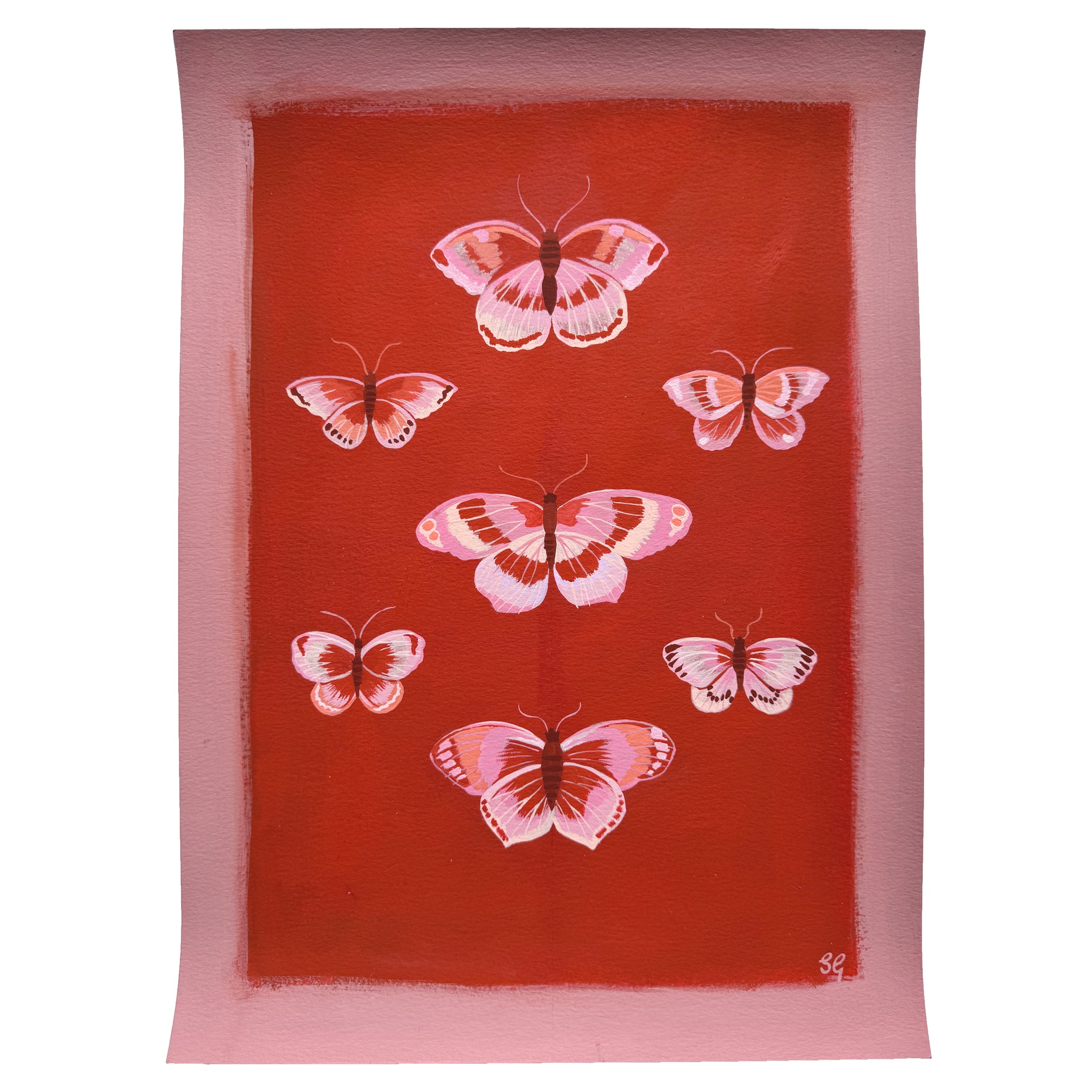 BUTTERFLIES no.1 in pink & red 11"x15"
