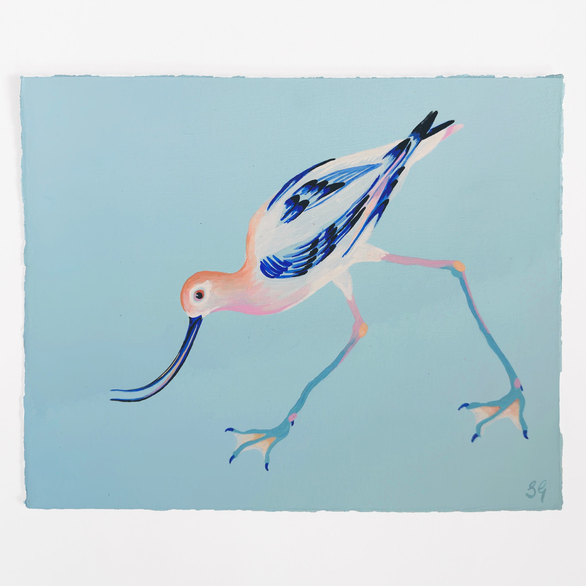 AMERICAN AVOCET on pale blue 11.2" x 9"