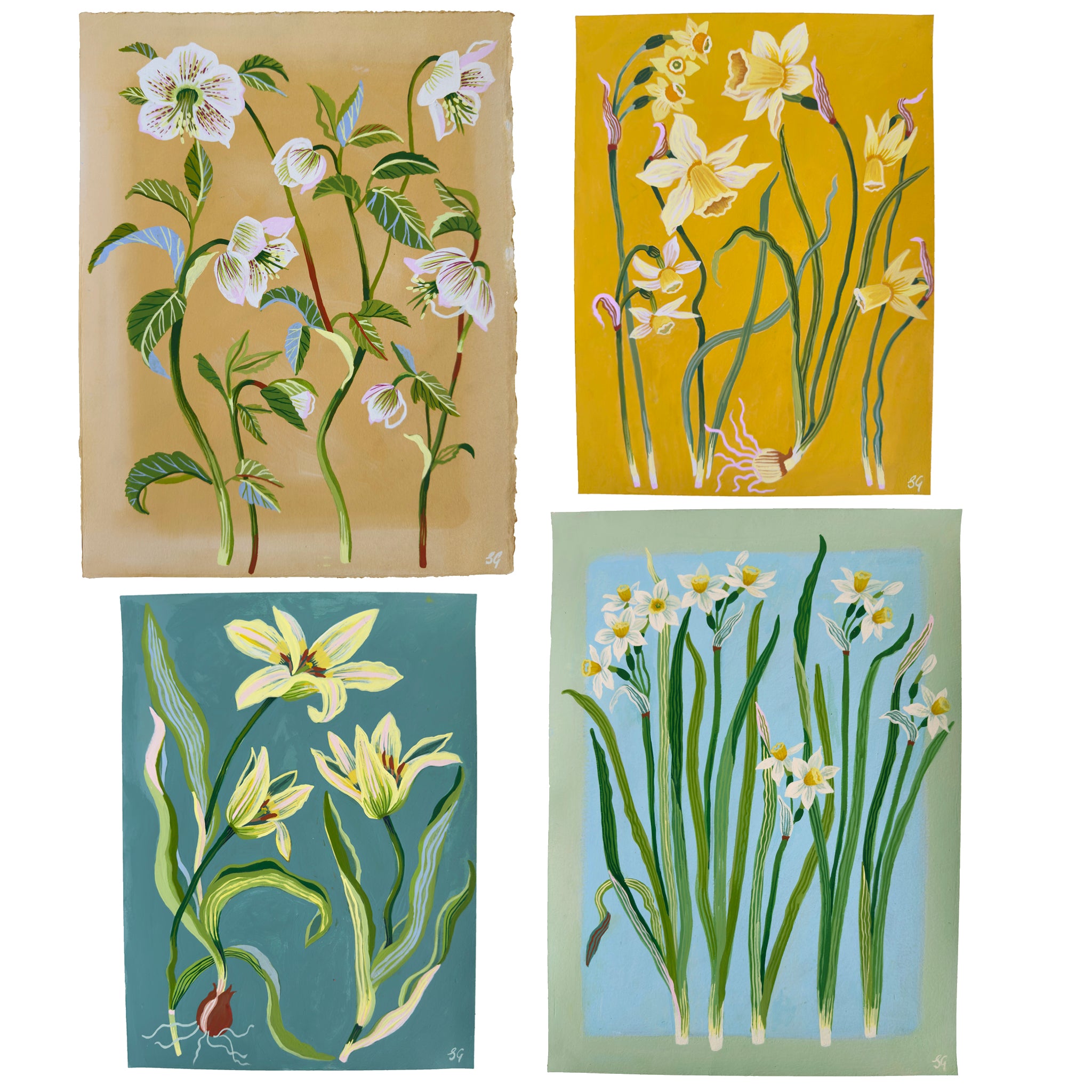 Spring Flowers