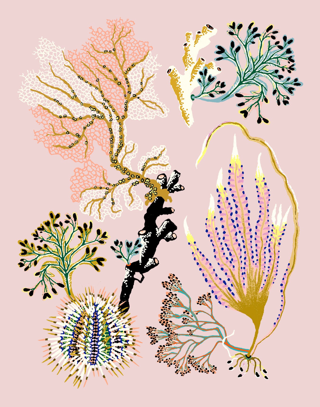 SEA GARDEN URCHIN 11" x 14"