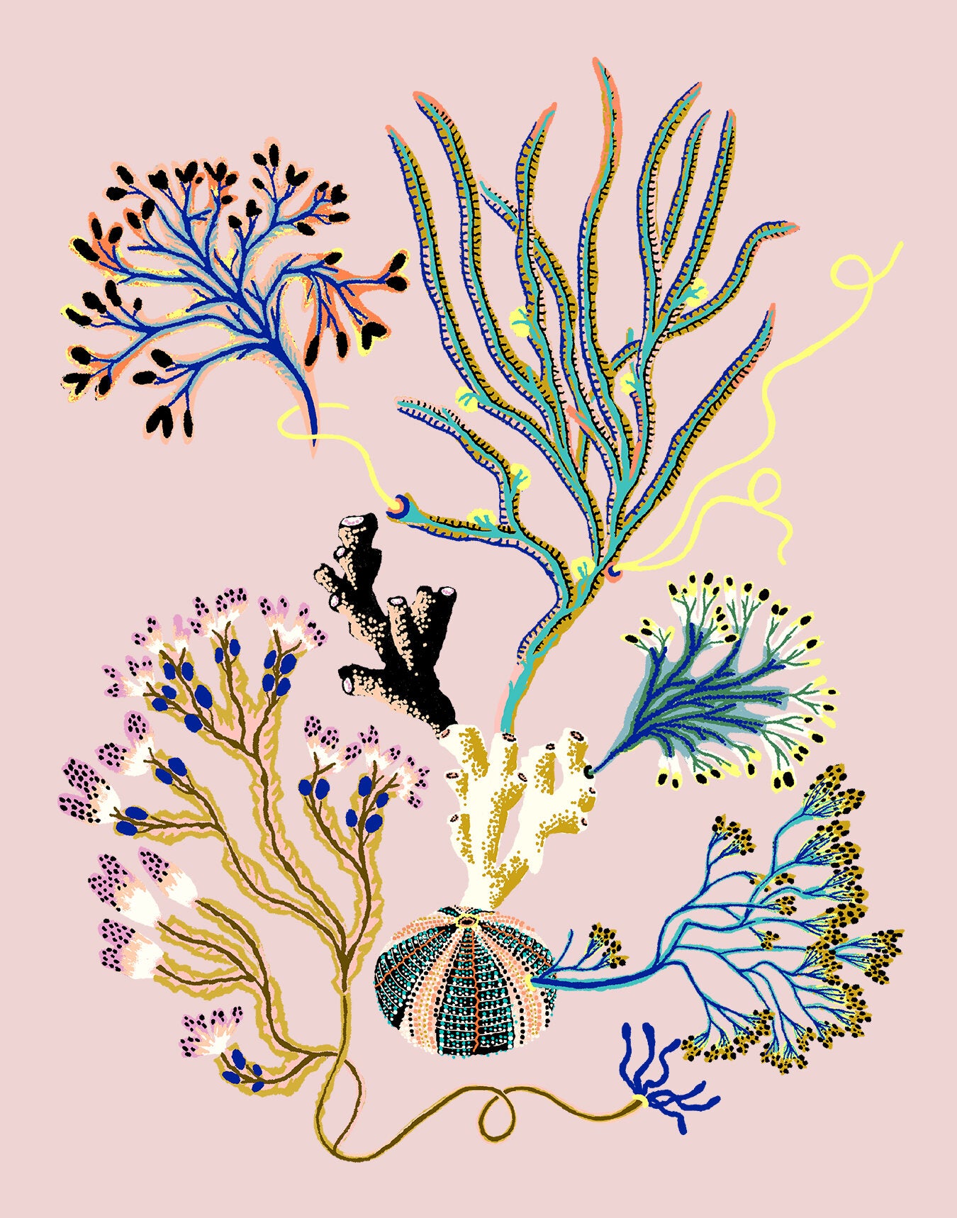 SEA GARDEN VIGNETTE 11" x 14"