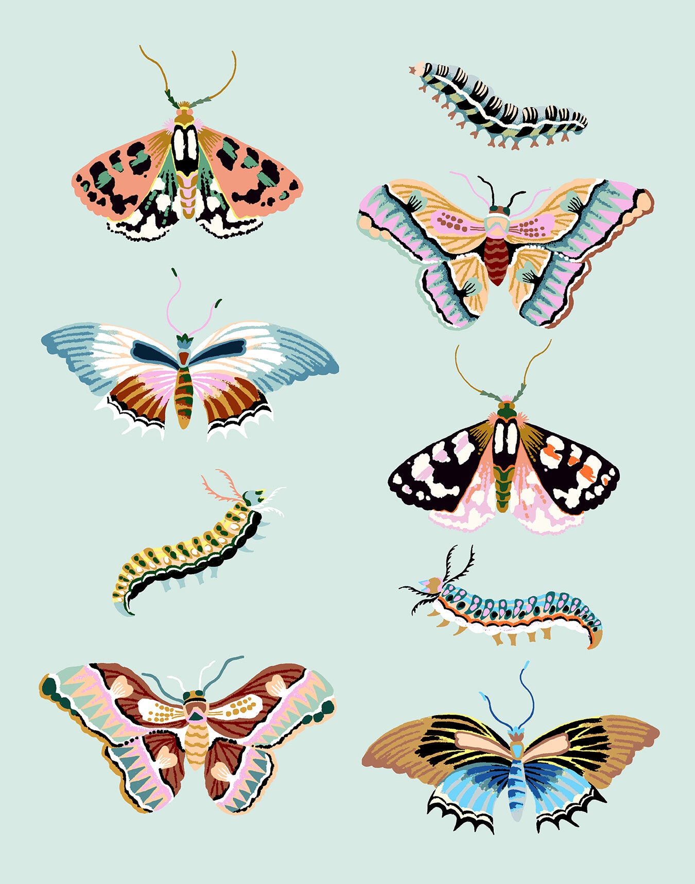 WONDERGARDEN BUTTERFLY  8" x 10"
