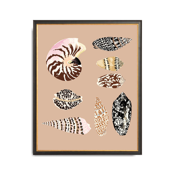 FIJI SHELLS (Pink Sand) 16" x 20"