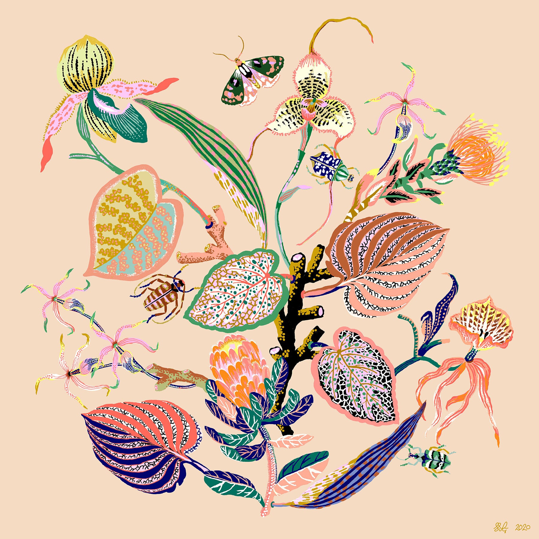 WONDERGARDEN VIGNETTE Pink Clay 20" x 20"