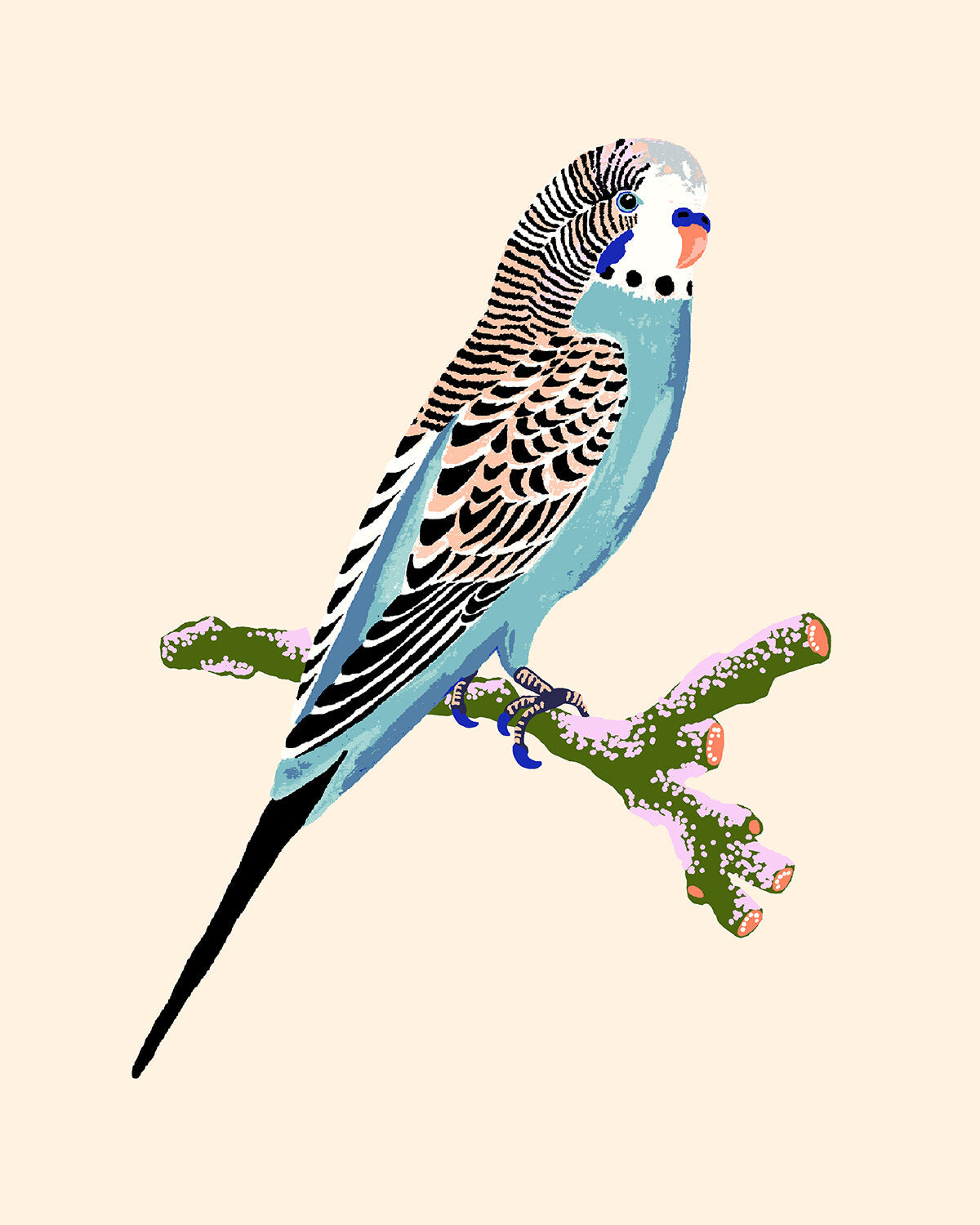 BUDGERIGAR 8" x 10" in 2 color options